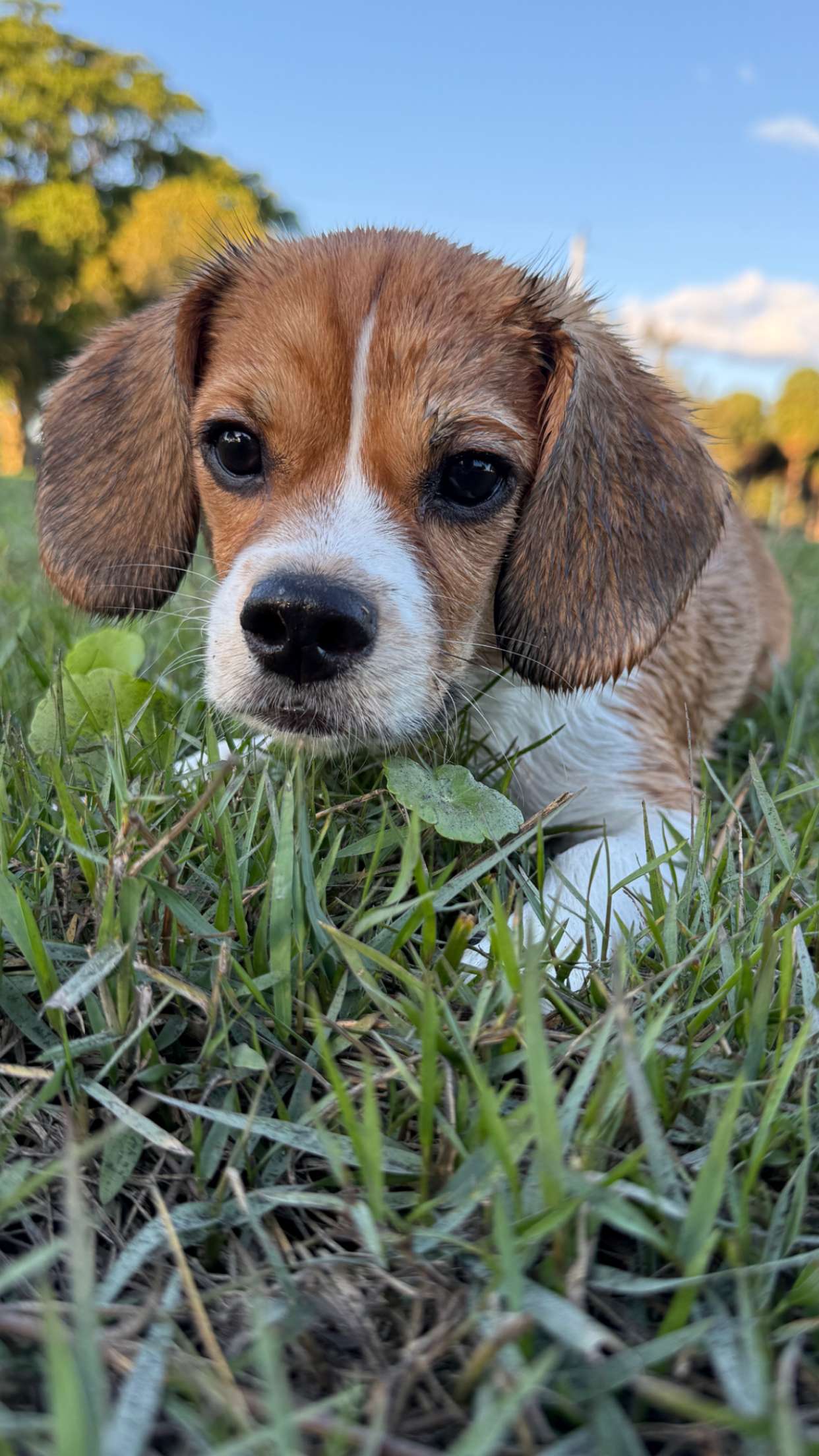 kydoddss snapchat image archive image