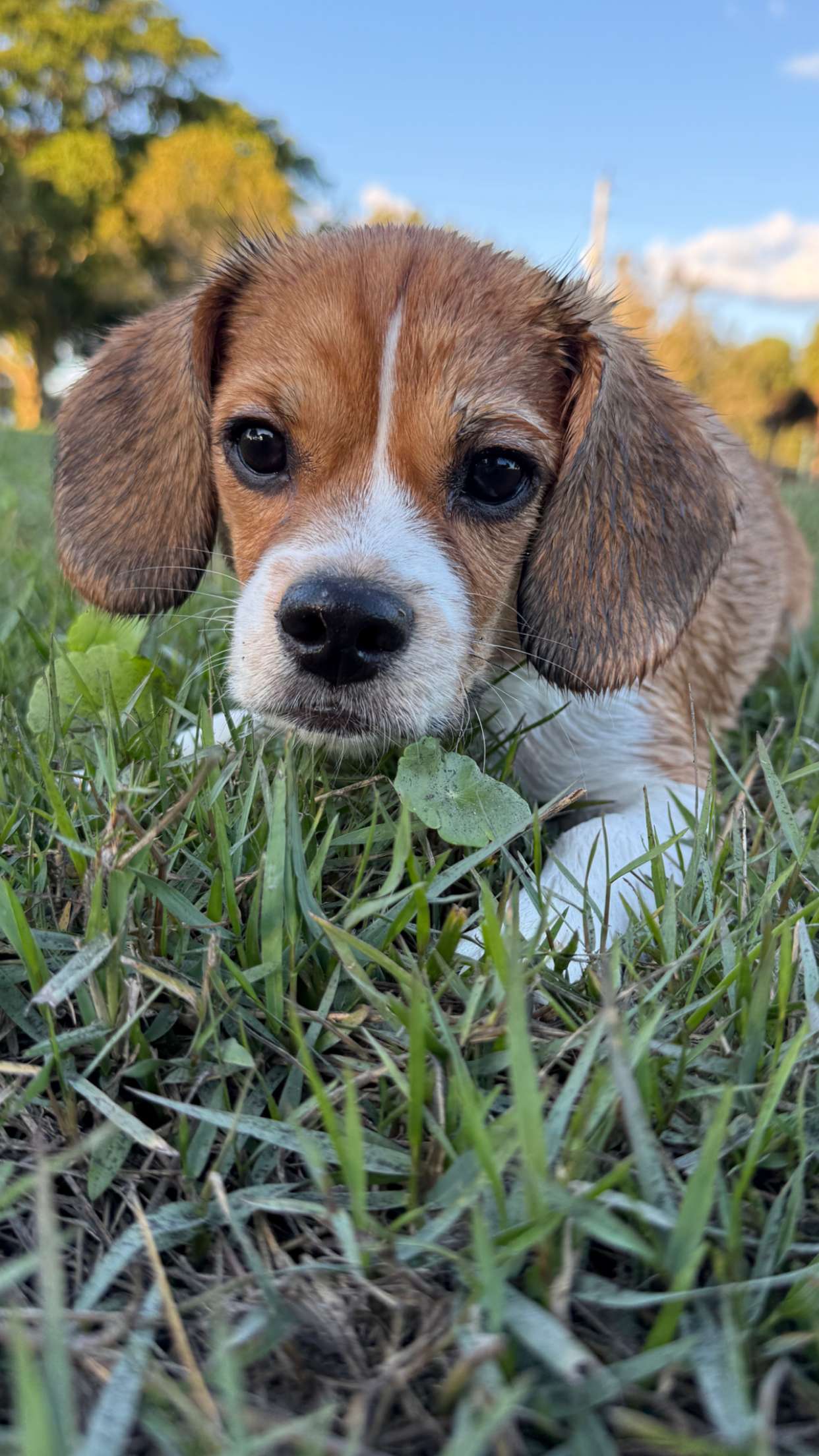 kydoddss snapchat image archive image