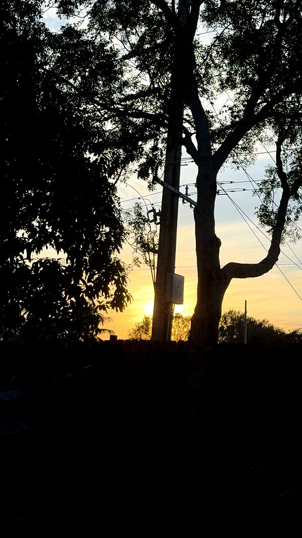 kydoddss image ~ Altpins