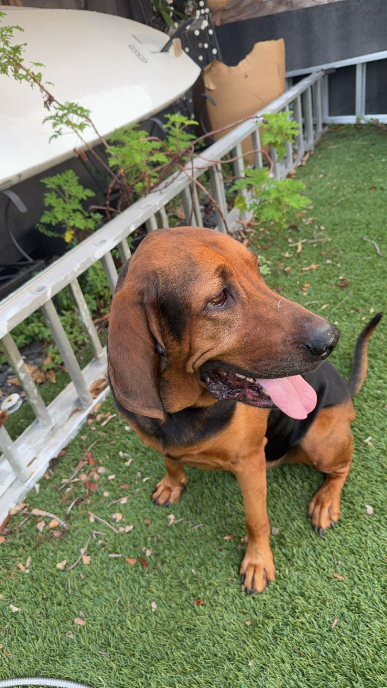 kydoddss snapchat image archive image