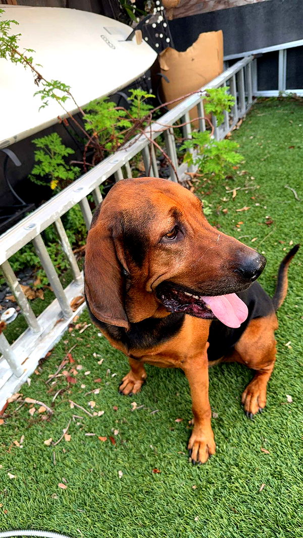 kydoddss image ~ Altpins