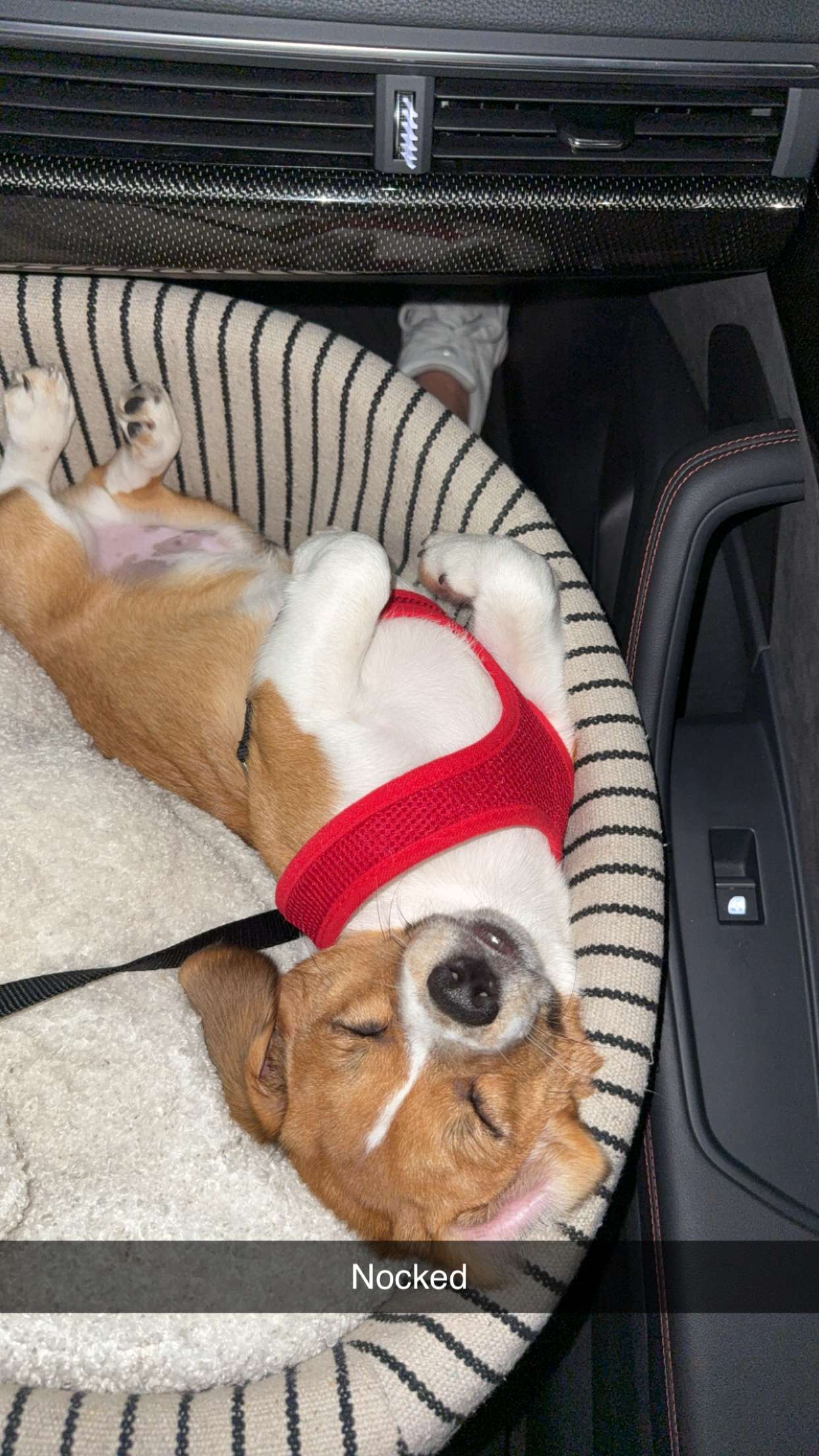 kydoddss snapchat image archive image