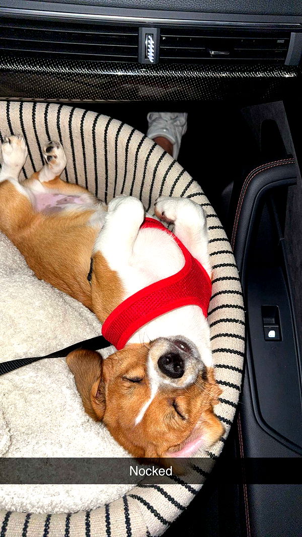 kydoddss image ~ Altpins