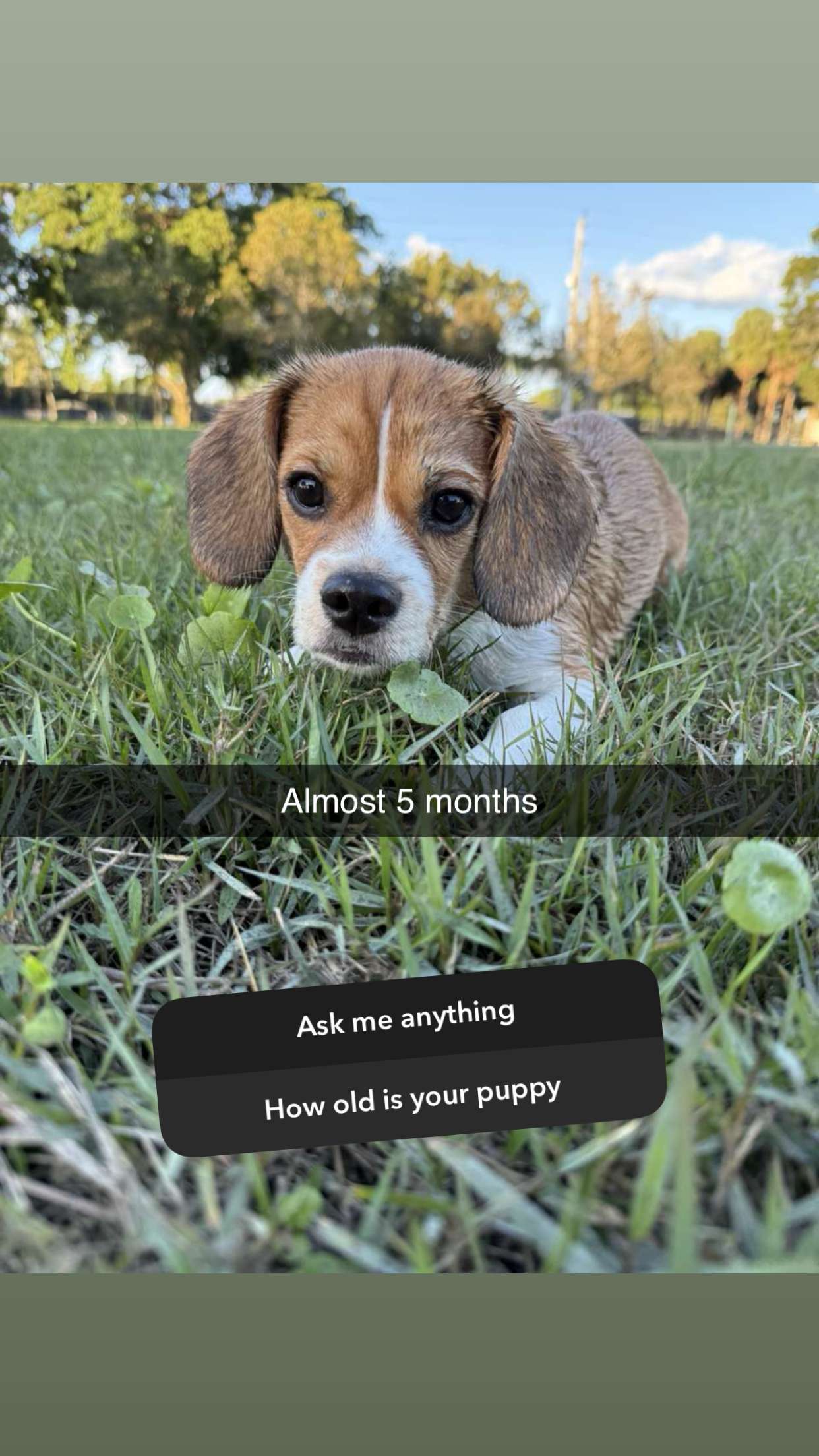 kydoddss snapchat image archive image