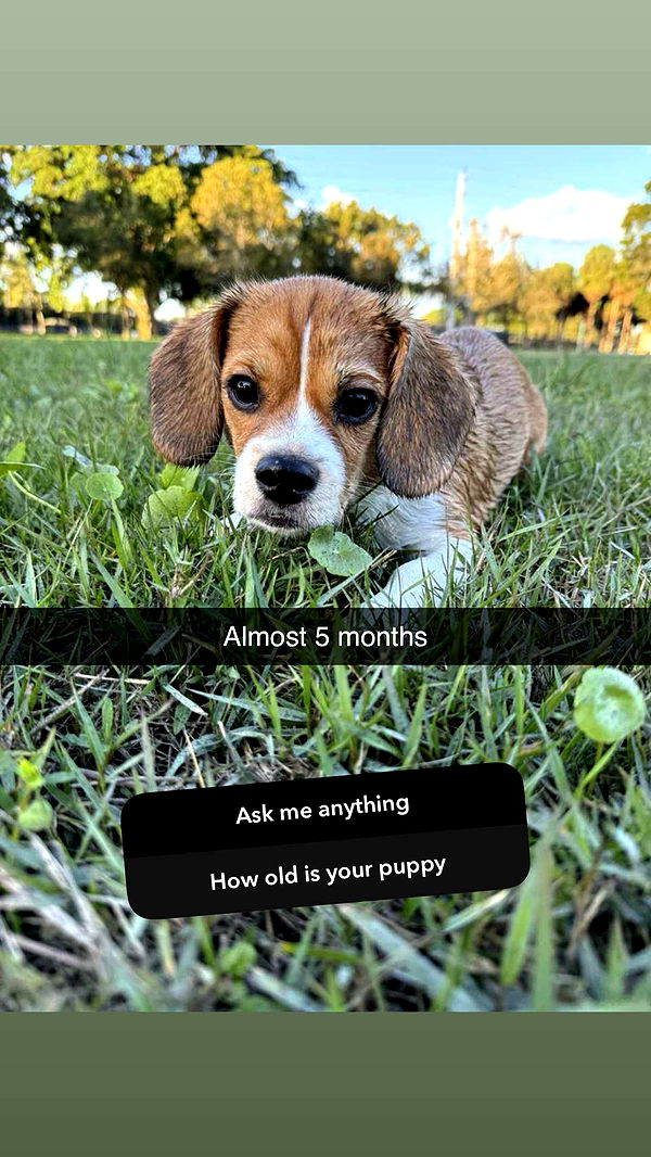 kydoddss image ~ Altpins