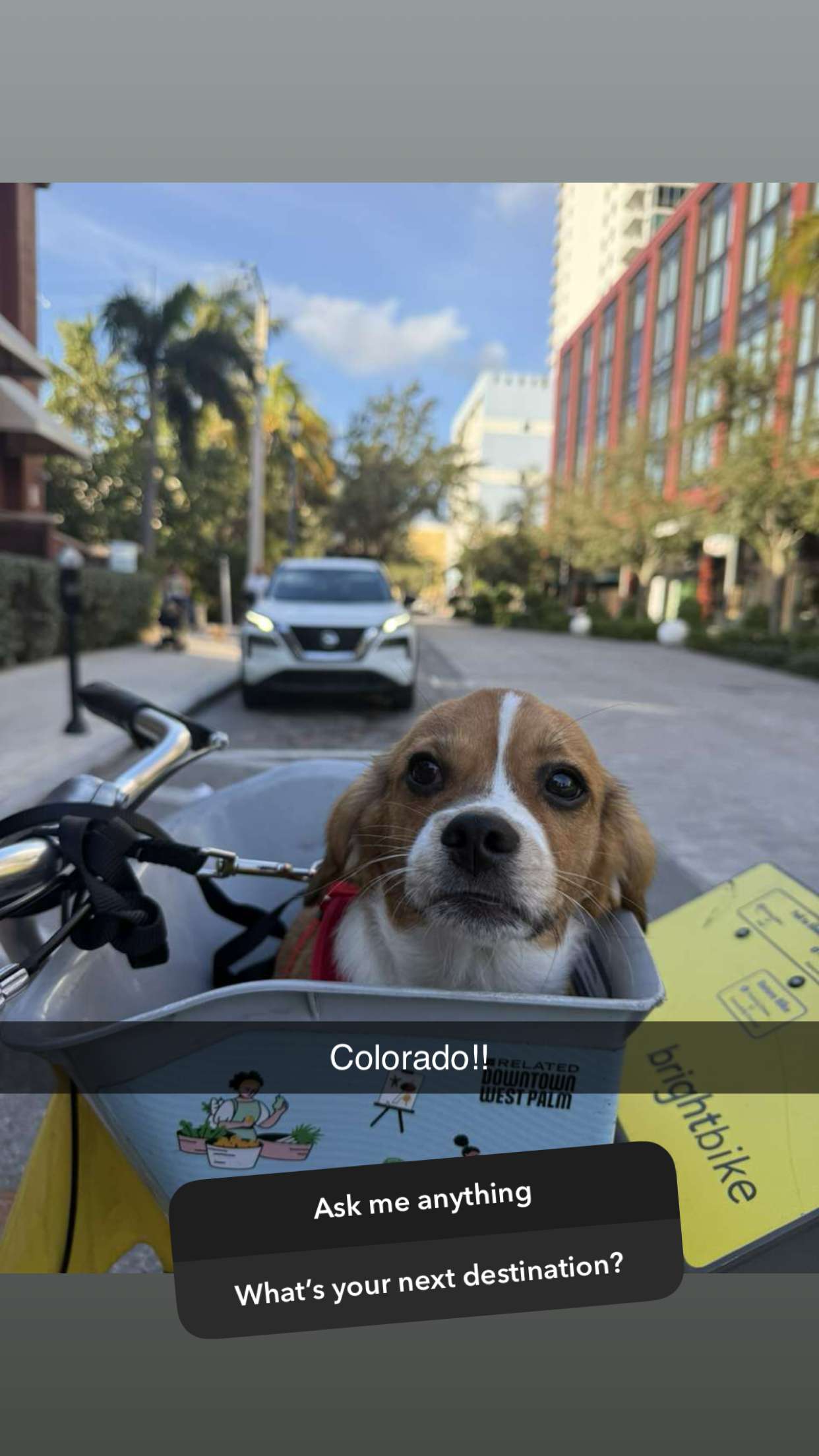 kydoddss snapchat image archive image