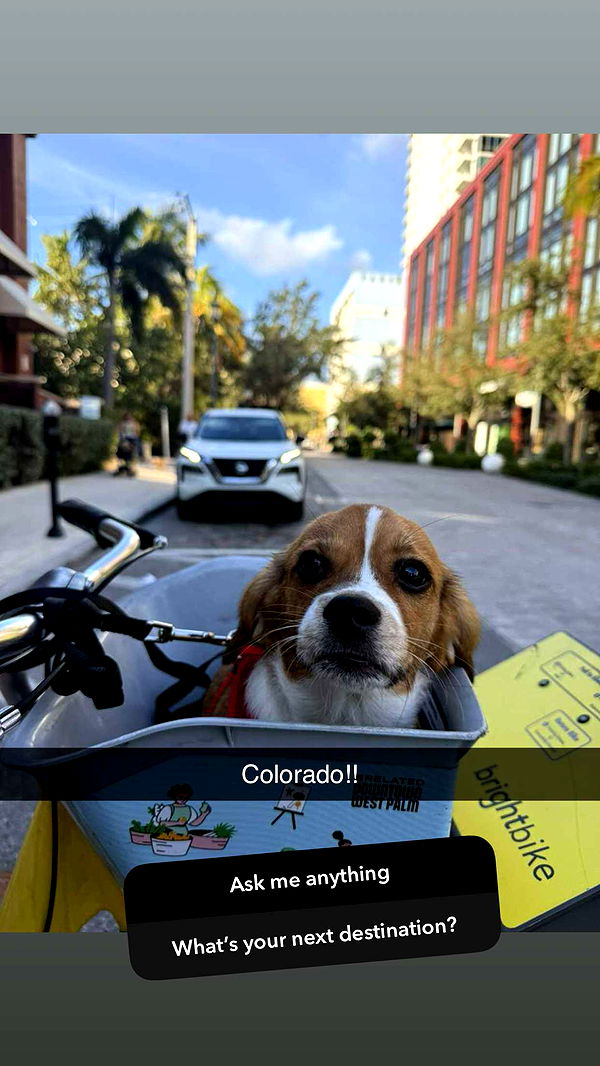 kydoddss image ~ Altpins