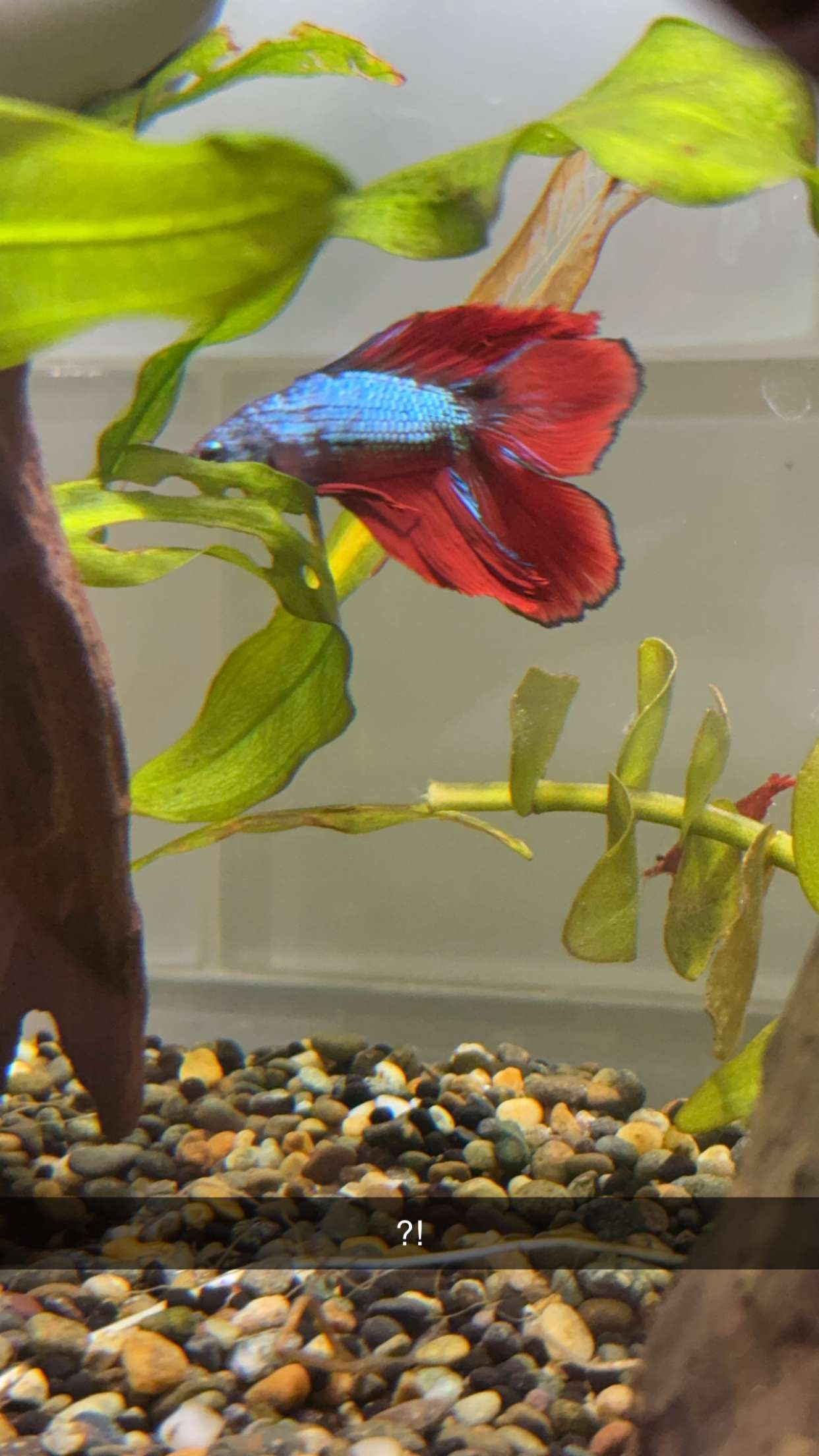 kydoddss snapchat image archive image