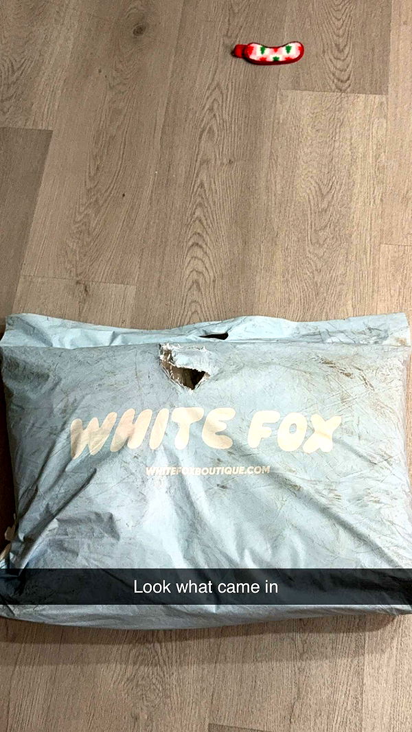 kydoddss image ~ Altpins