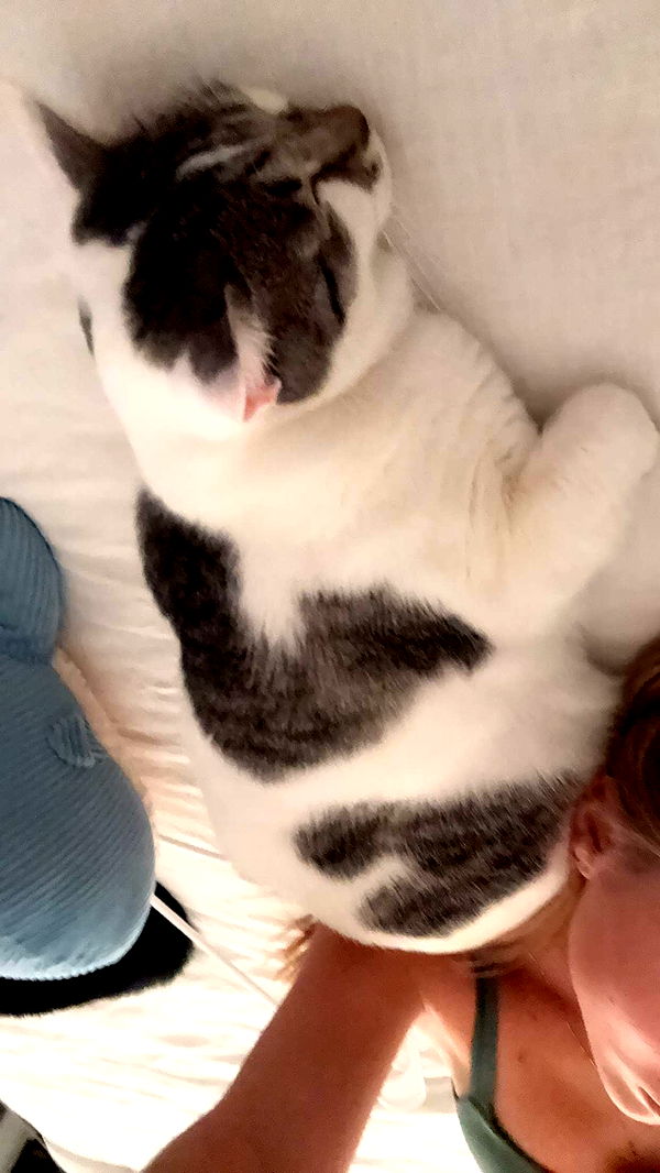 kydoddss image ~ Altpins