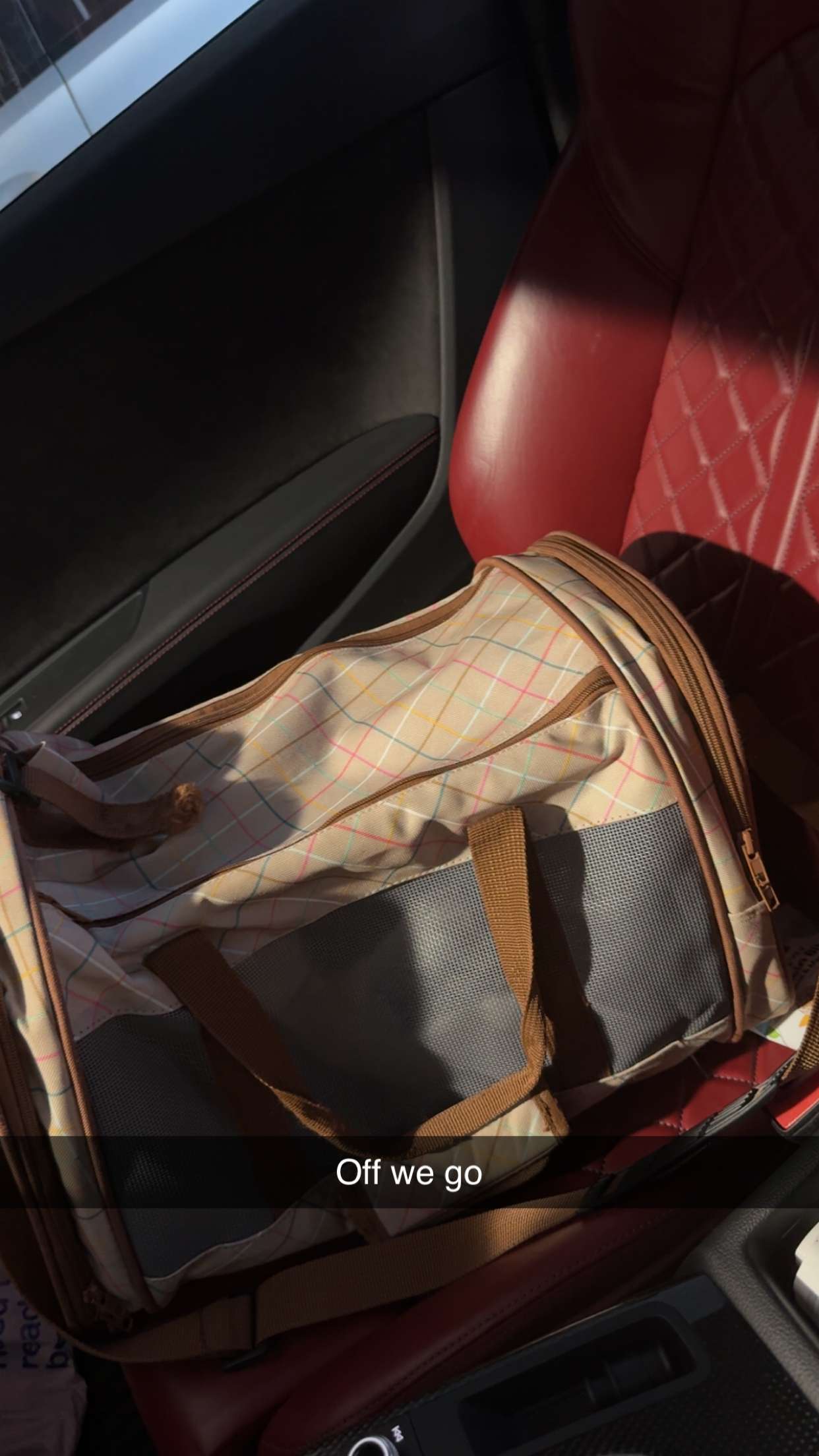 kydoddss snapchat image archive image