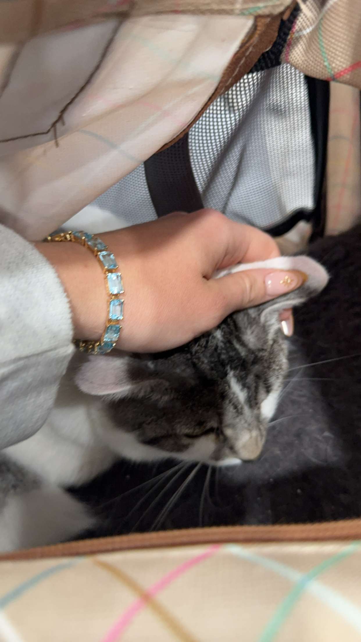 kydoddss snapchat image archive image