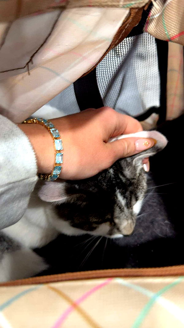 kydoddss image ~ Altpins