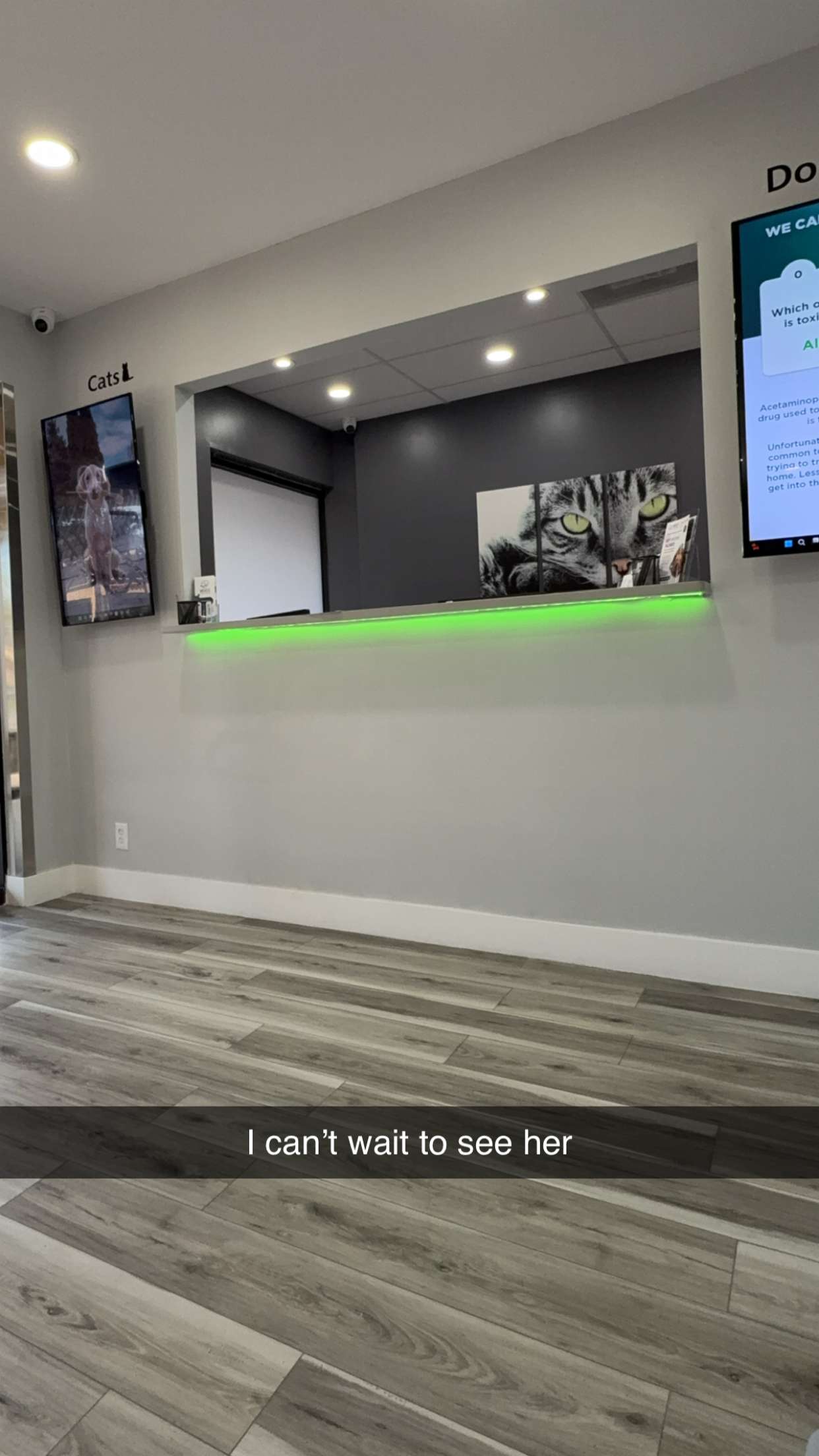 kydoddss snapchat image archive image