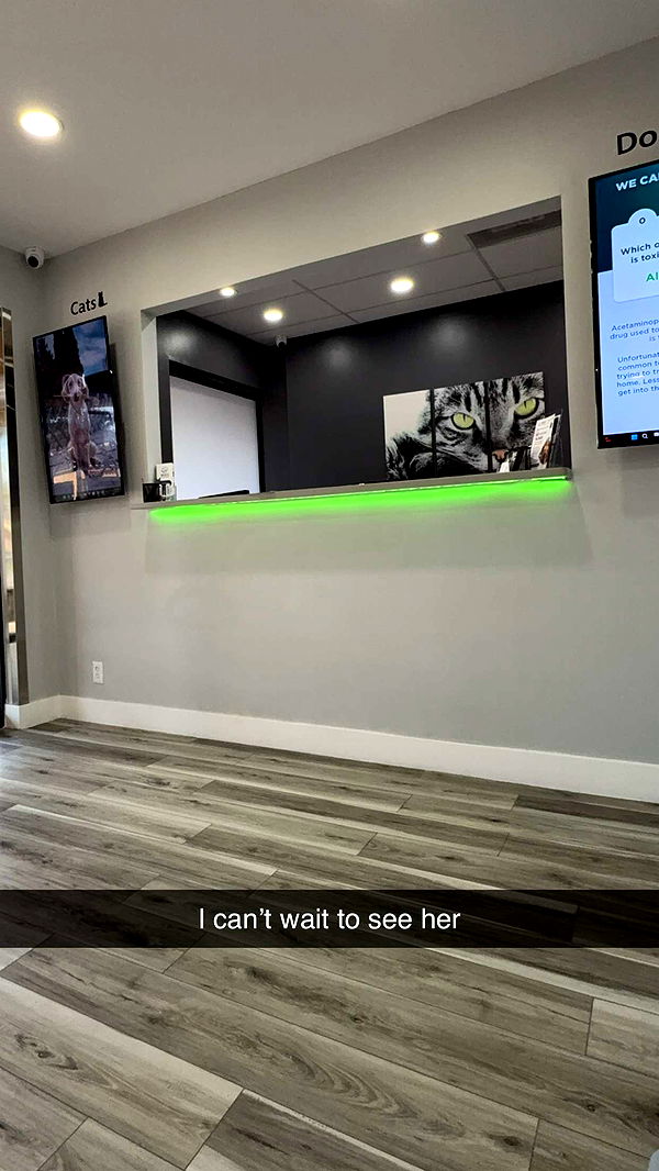 kydoddss image ~ Altpins