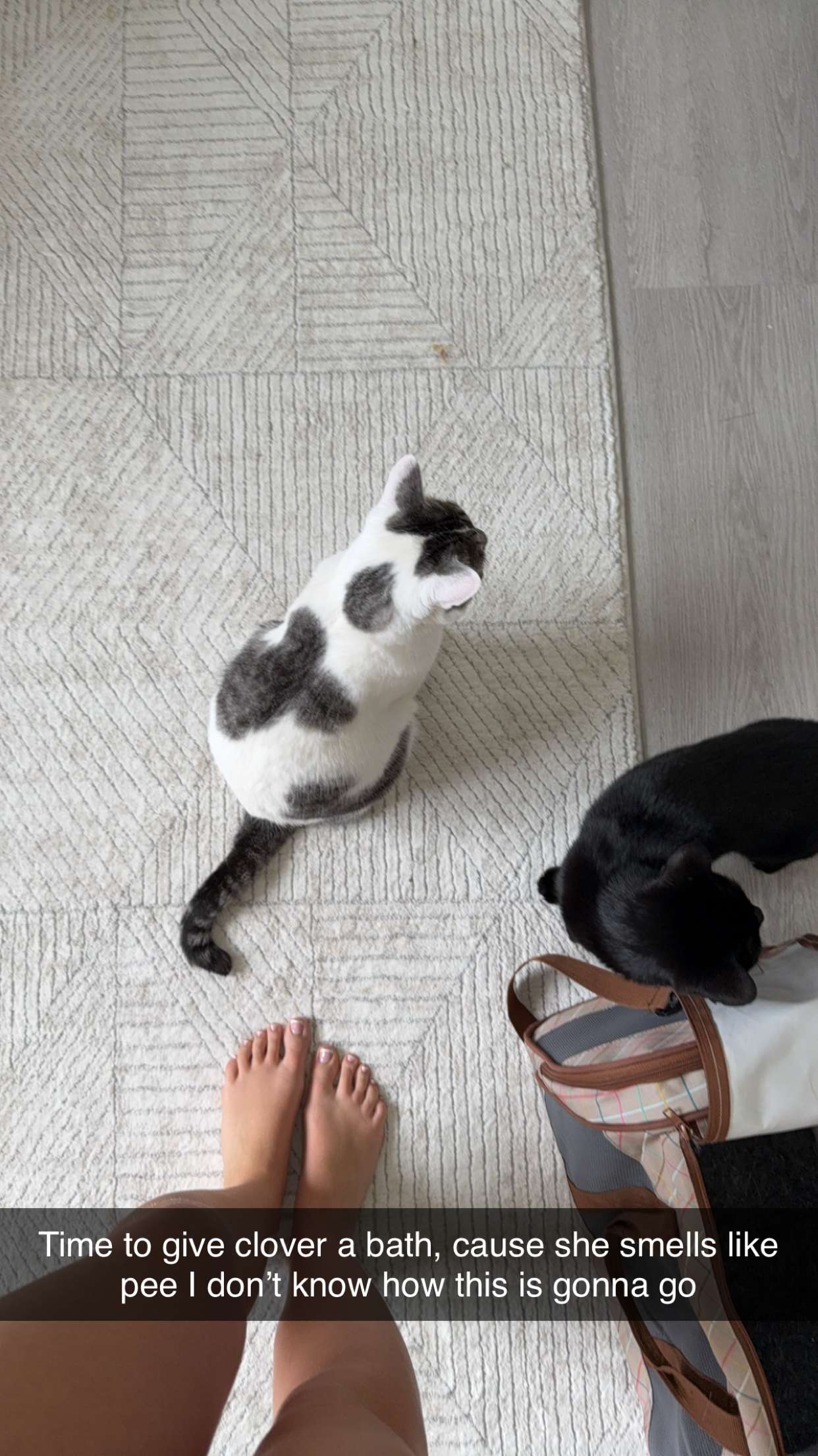 kydoddss snapchat image archive image