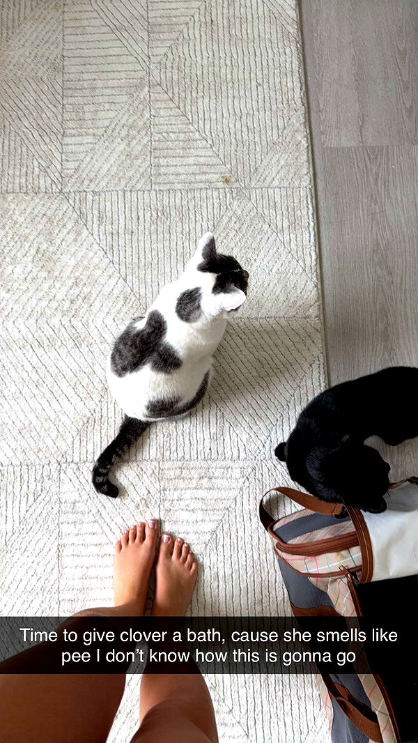 kydoddss image ~ Altpins