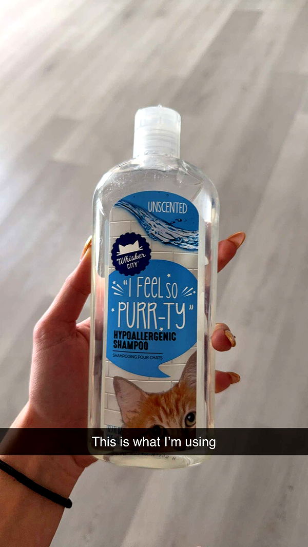 kydoddss image ~ Altpins