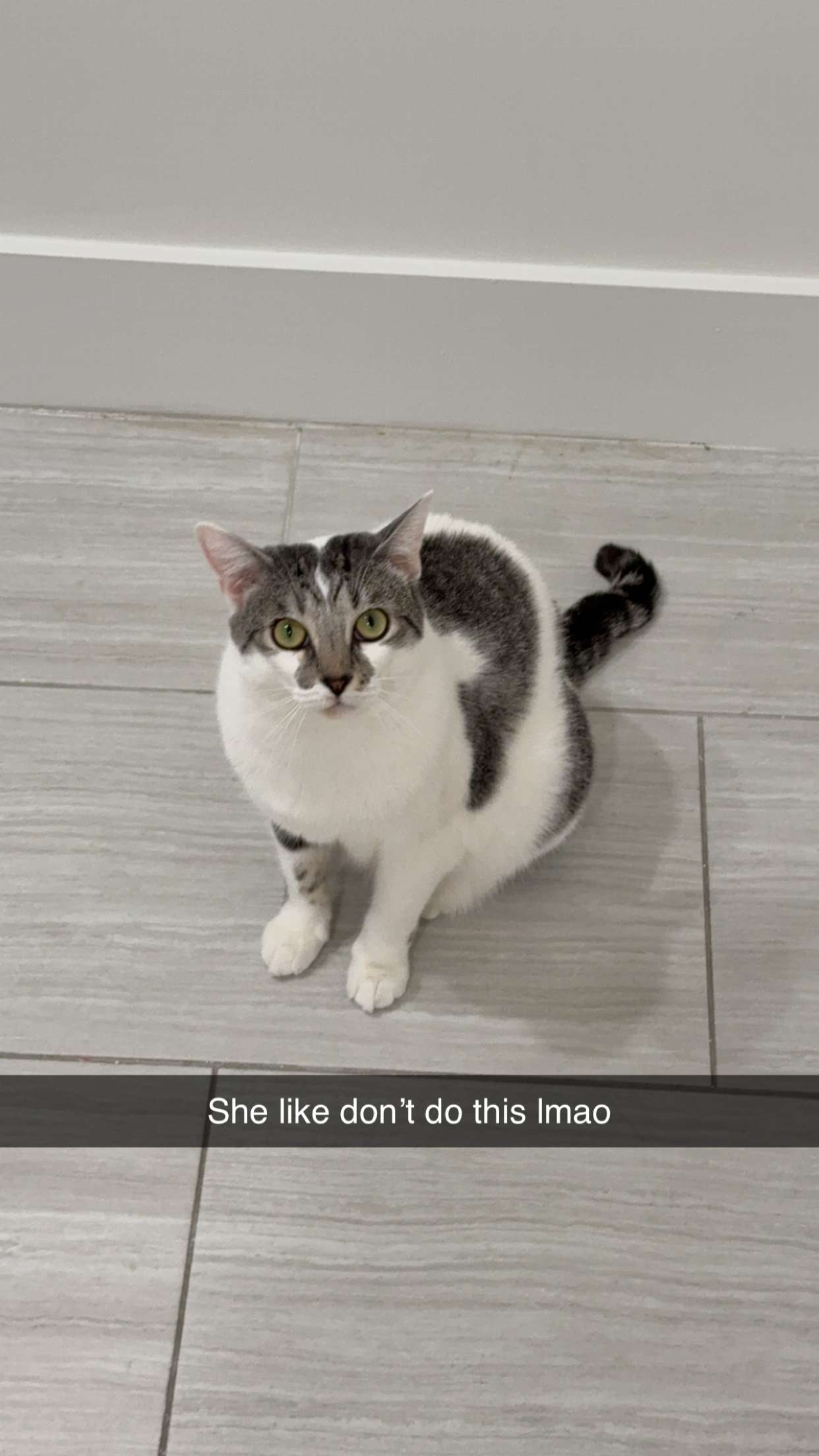 kydoddss snapchat image archive image