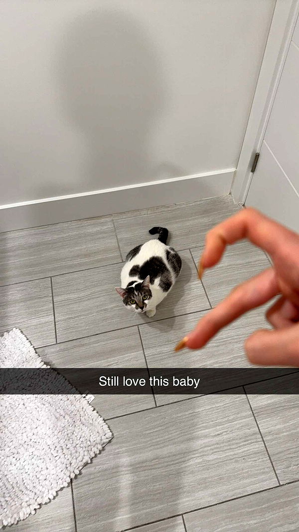 kydoddss image ~ Altpins