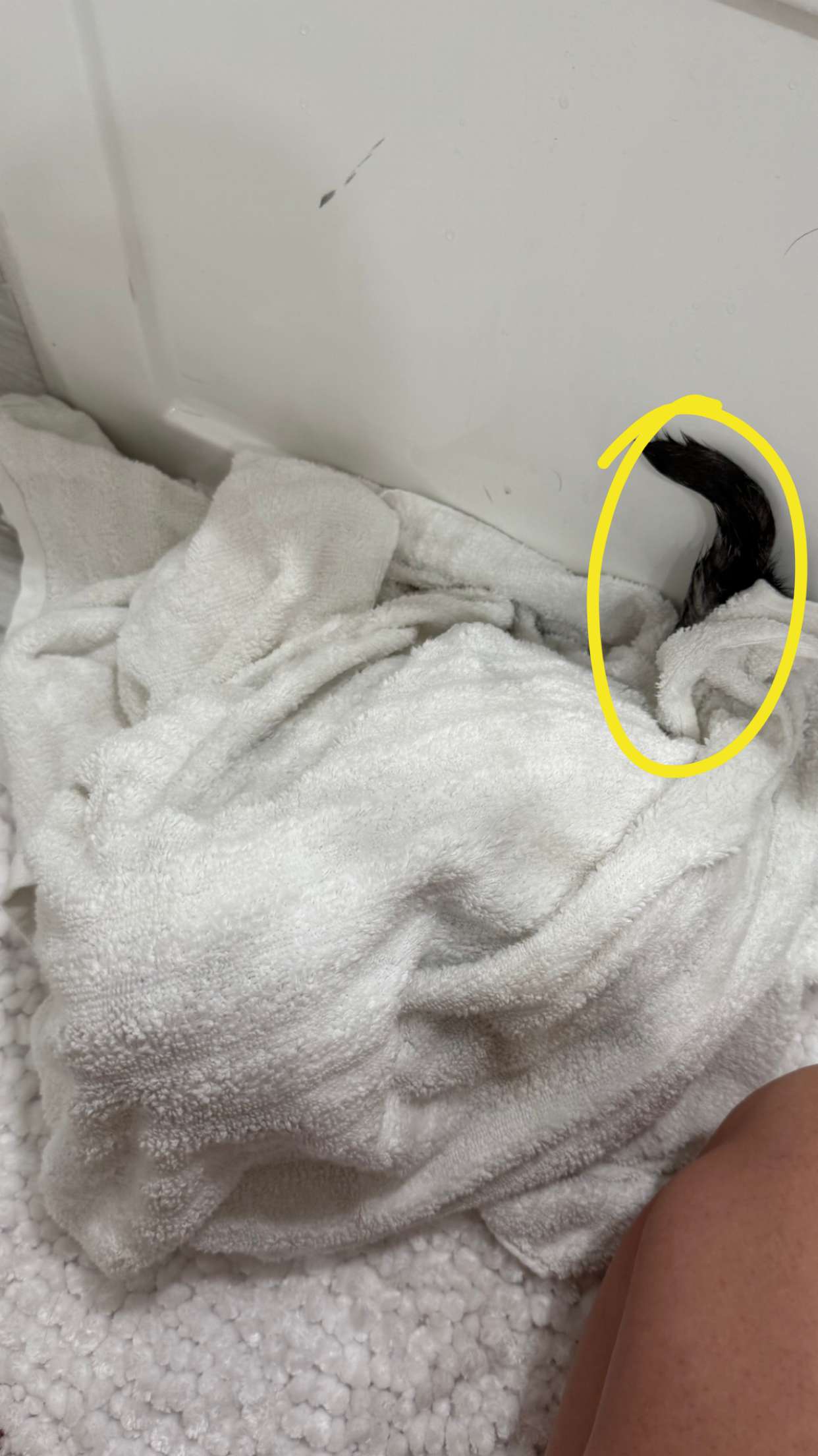 kydoddss snapchat image archive image