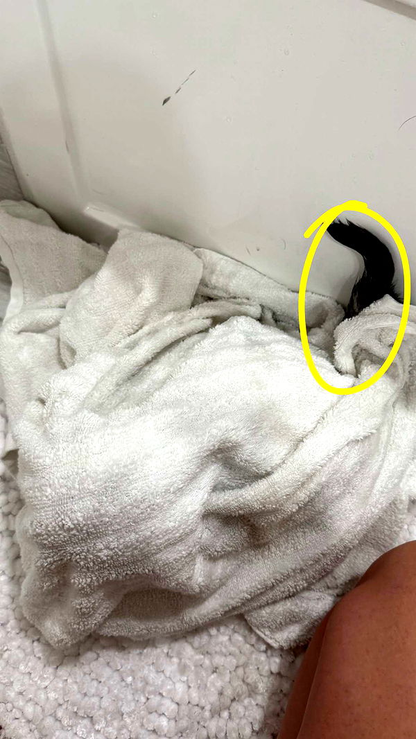 kydoddss image ~ Altpins