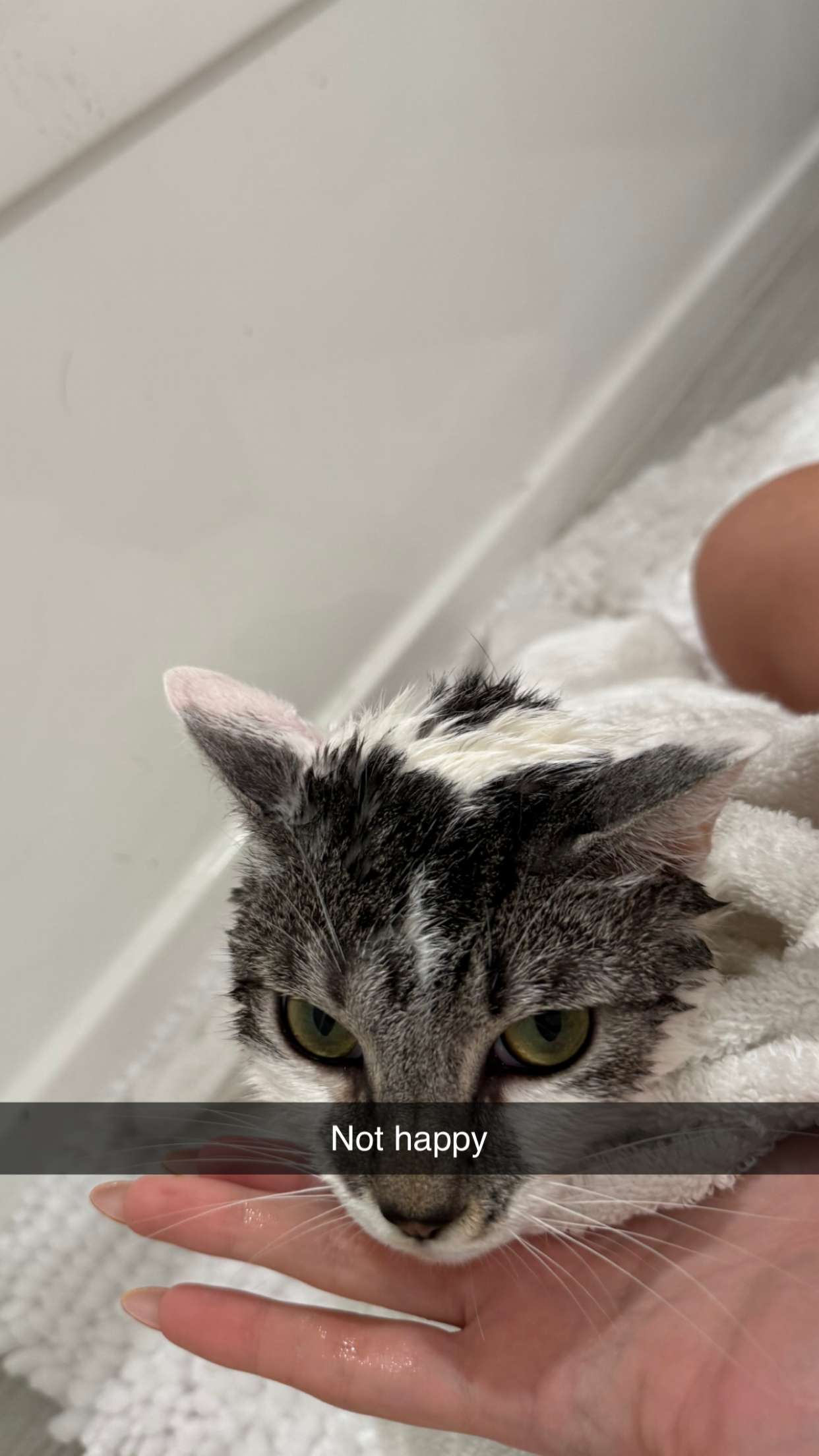 kydoddss snapchat image archive image