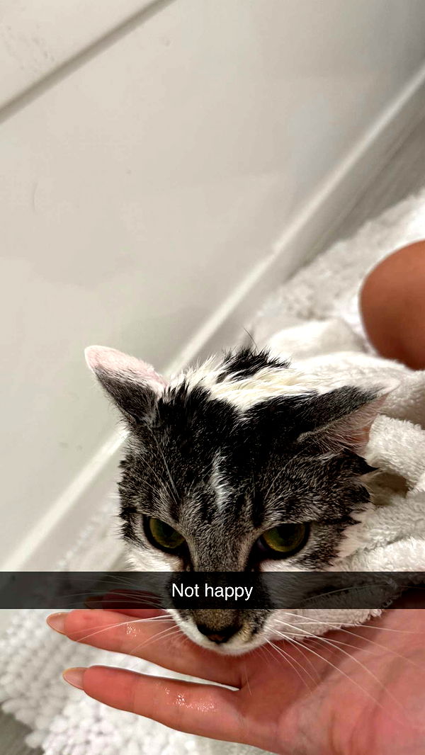 kydoddss image ~ Altpins