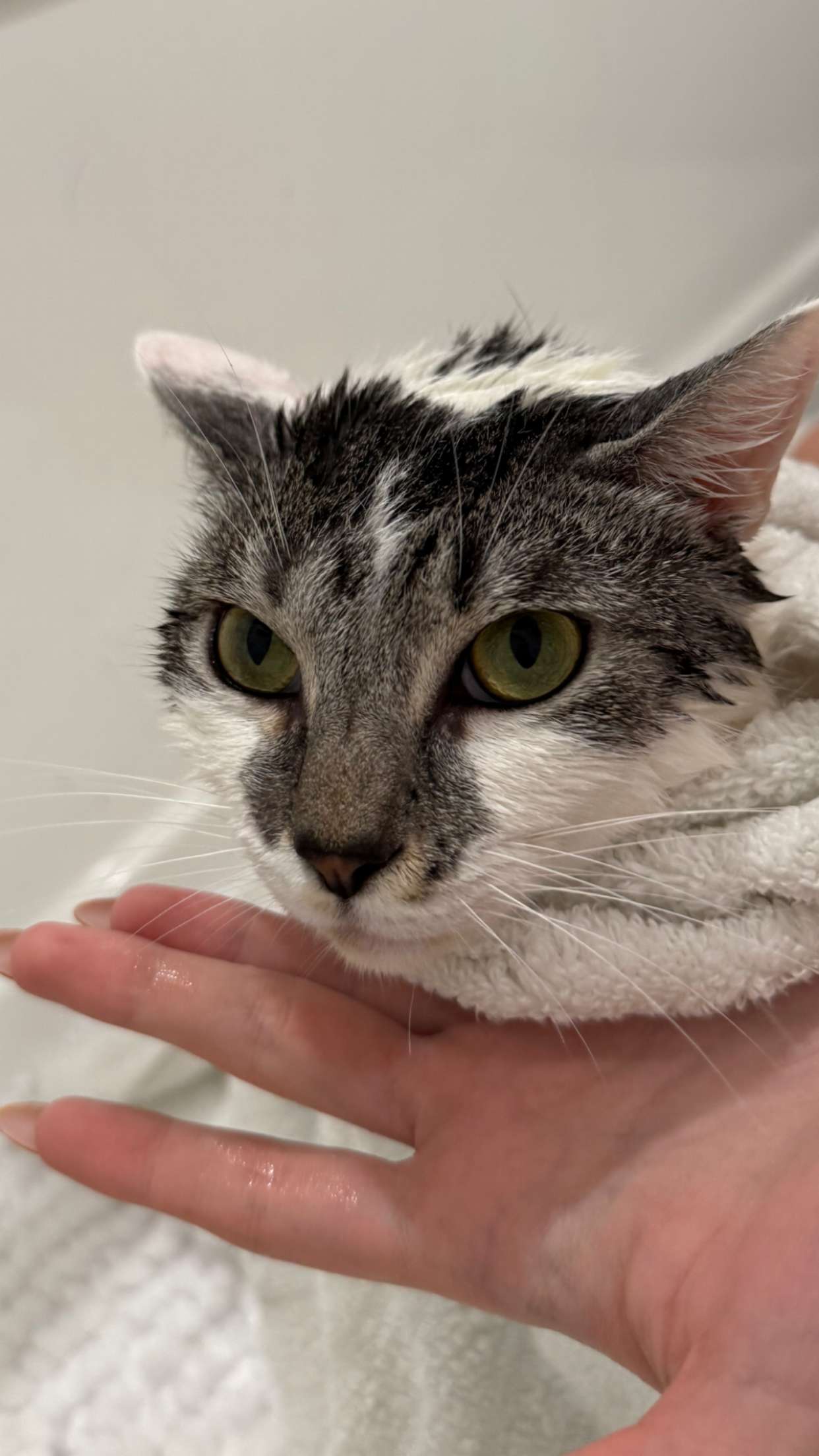 kydoddss snapchat image archive image