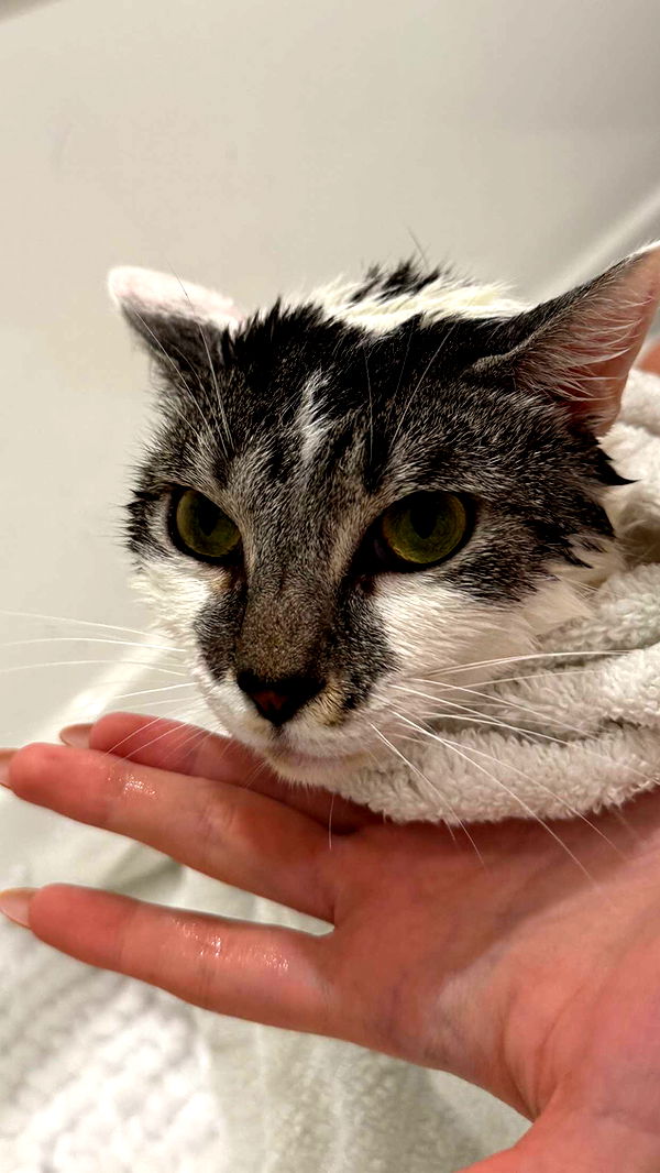 kydoddss image ~ Altpins