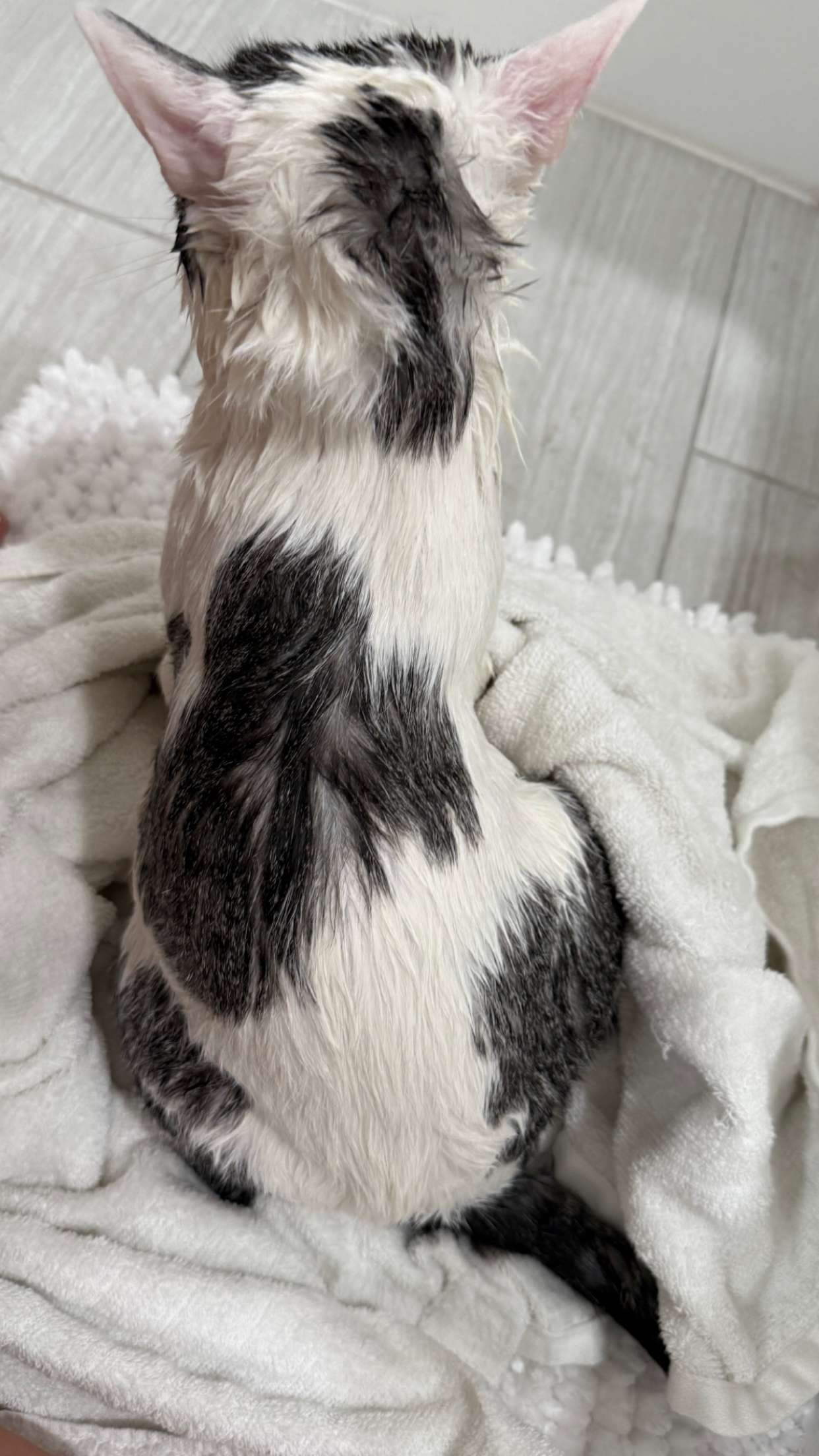 kydoddss snapchat image archive image