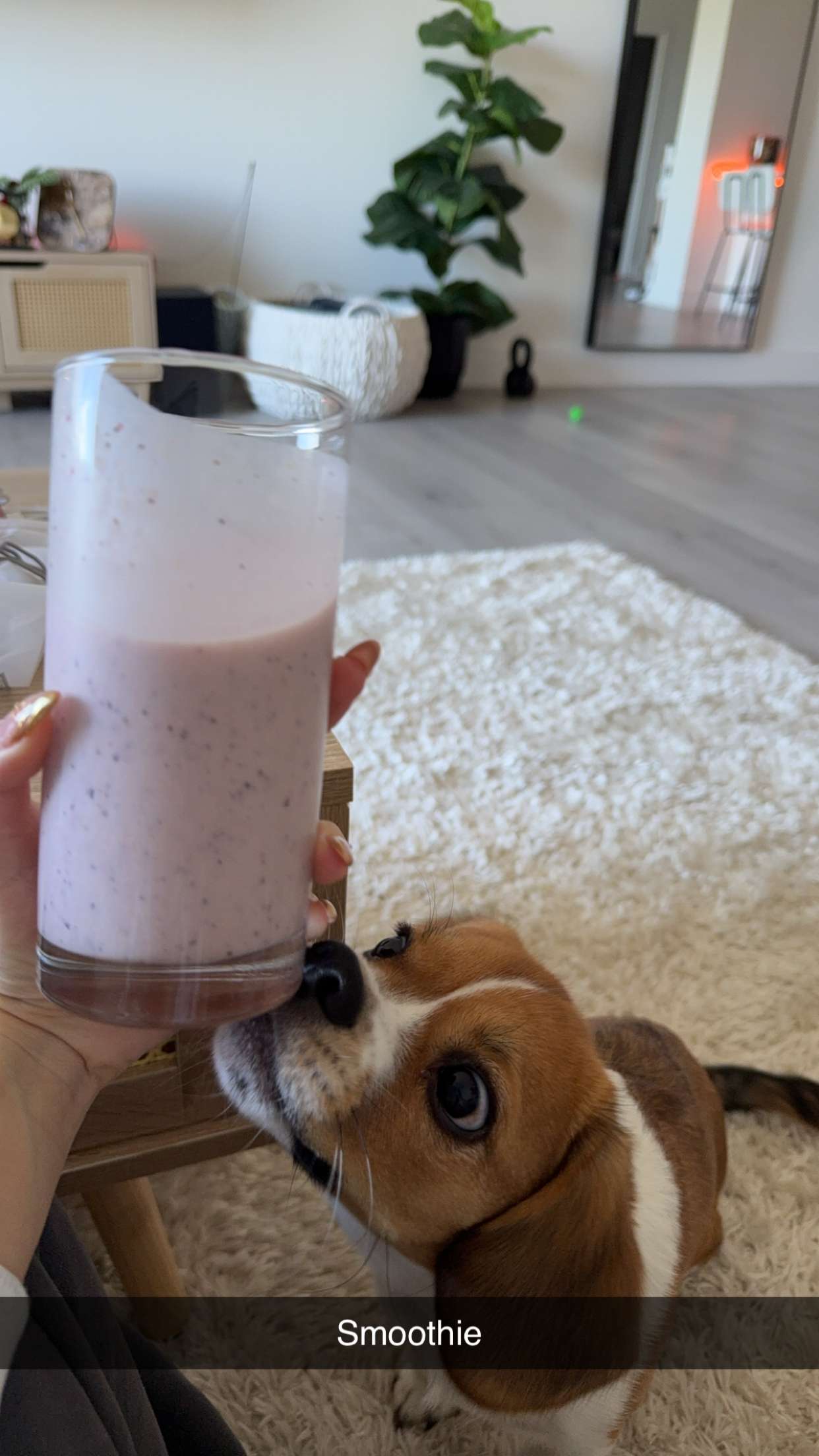 kydoddss snapchat image archive image