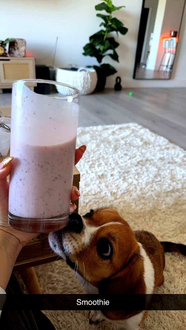 kydoddss image ~ Altpins