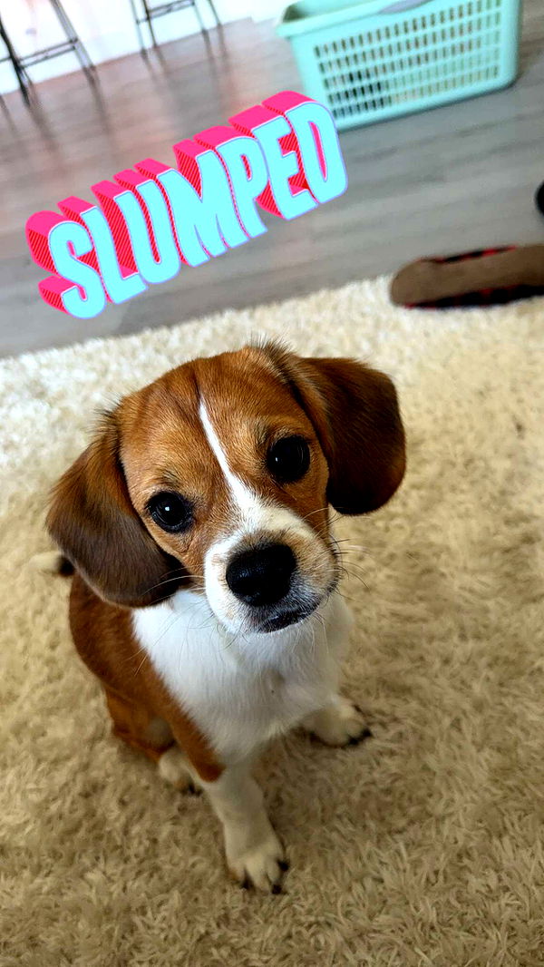 kydoddss image ~ Altpins