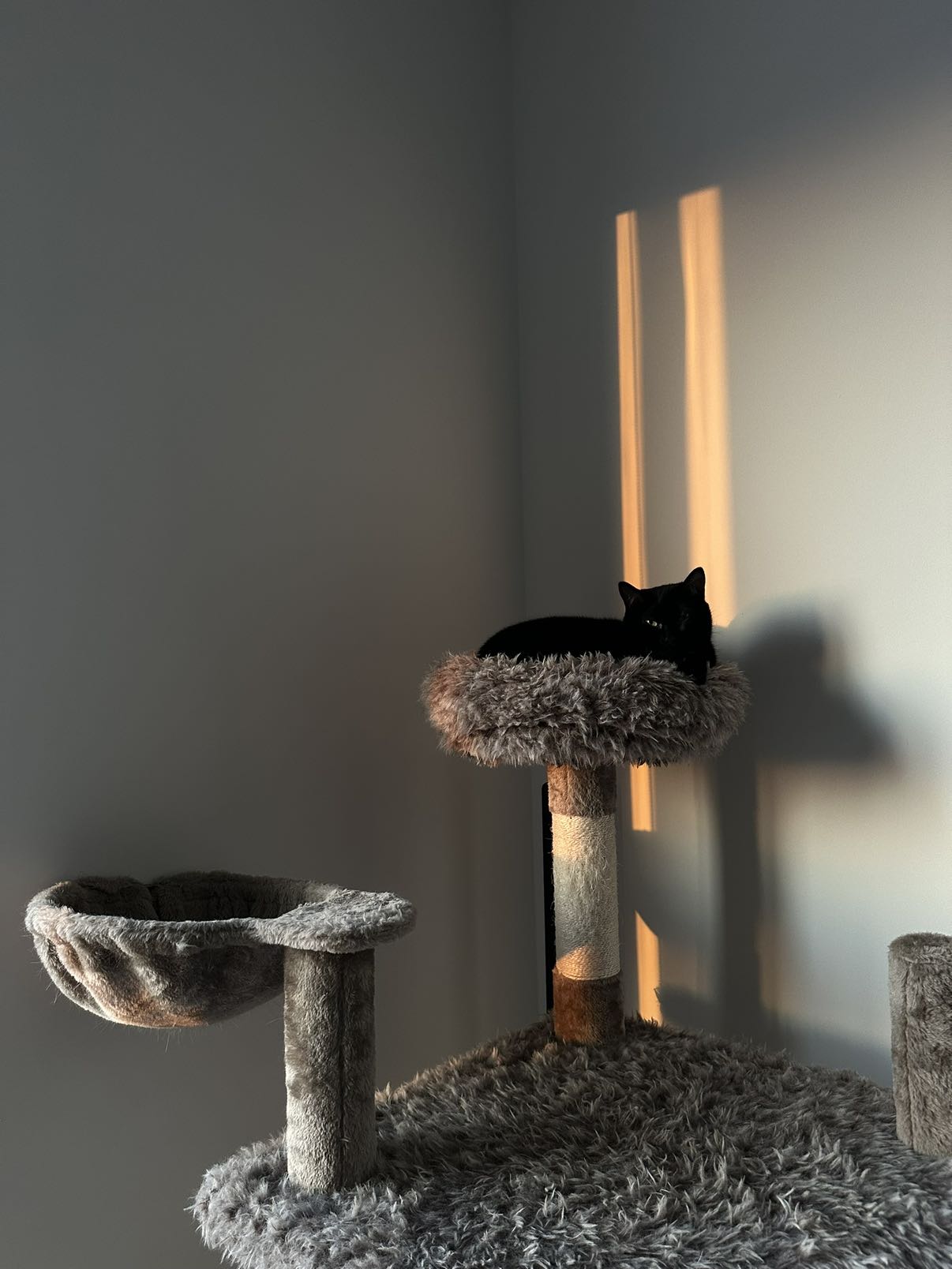 kydoddss snapchat image archive image