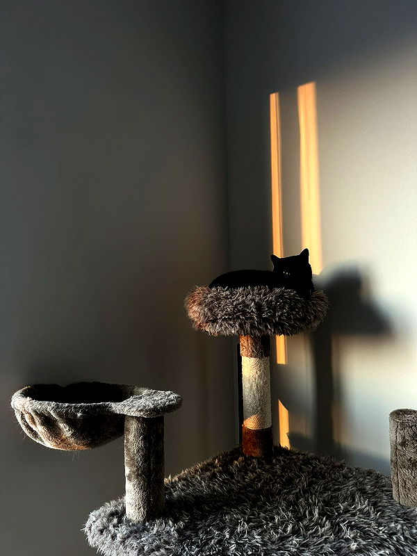 kydoddss image ~ Altpins