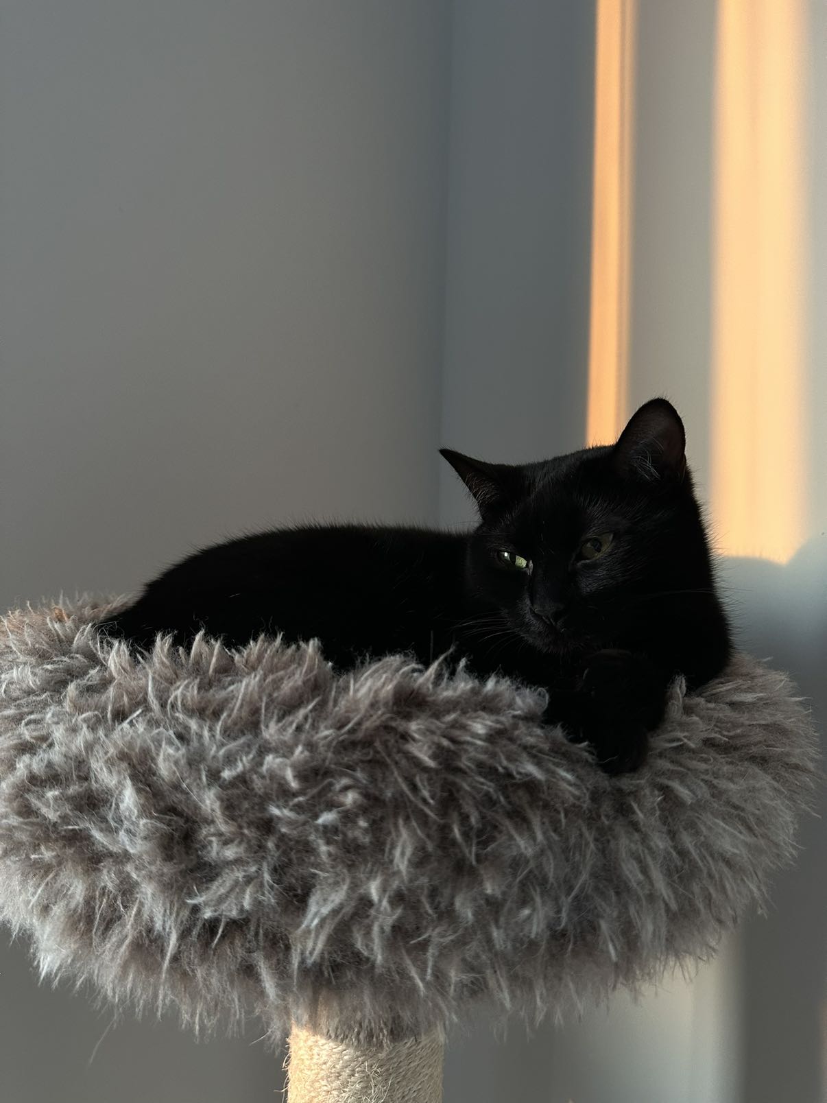 kydoddss snapchat image archive image