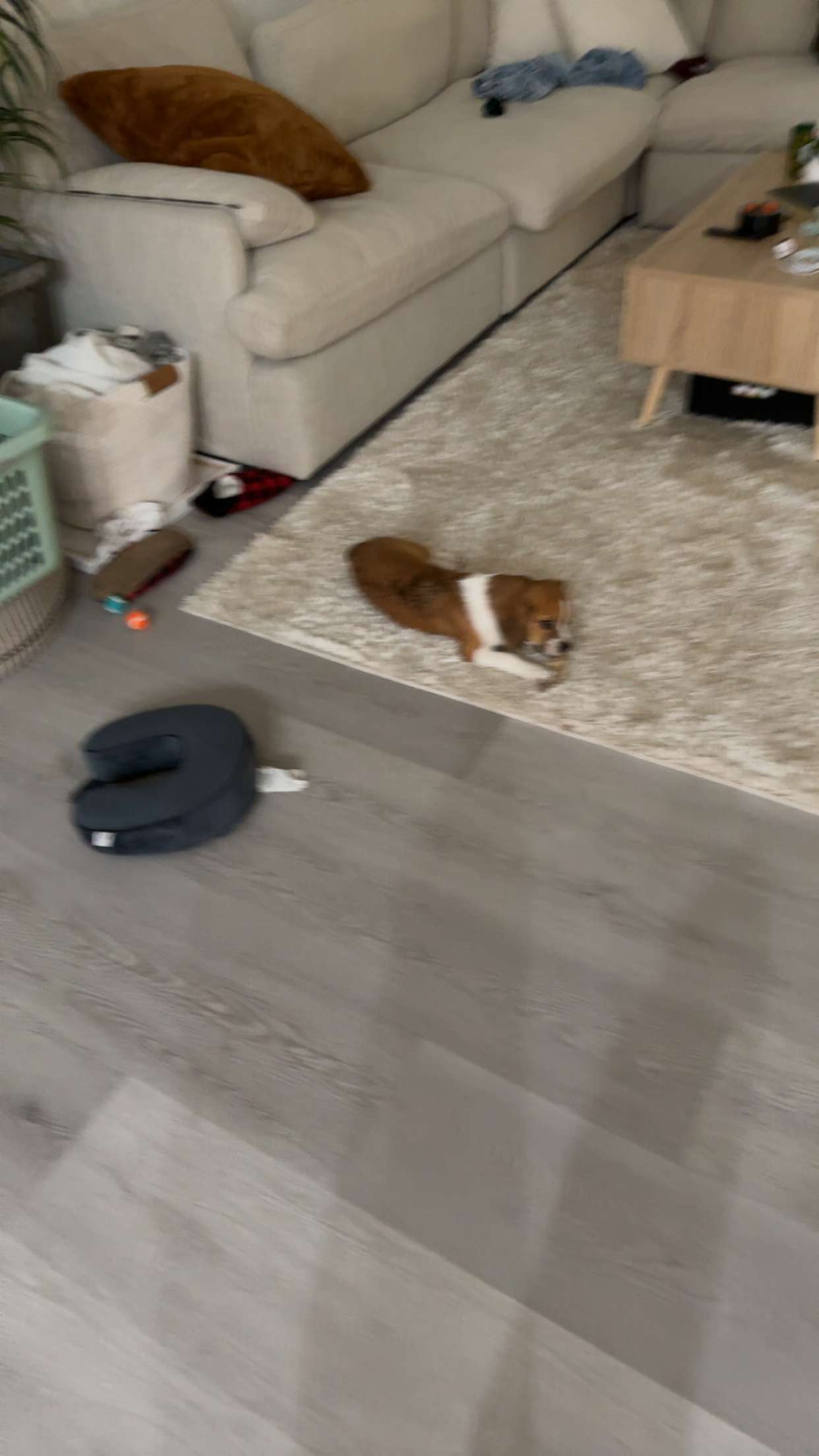 kydoddss snapchat image archive image