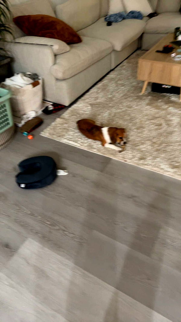 kydoddss image ~ Altpins