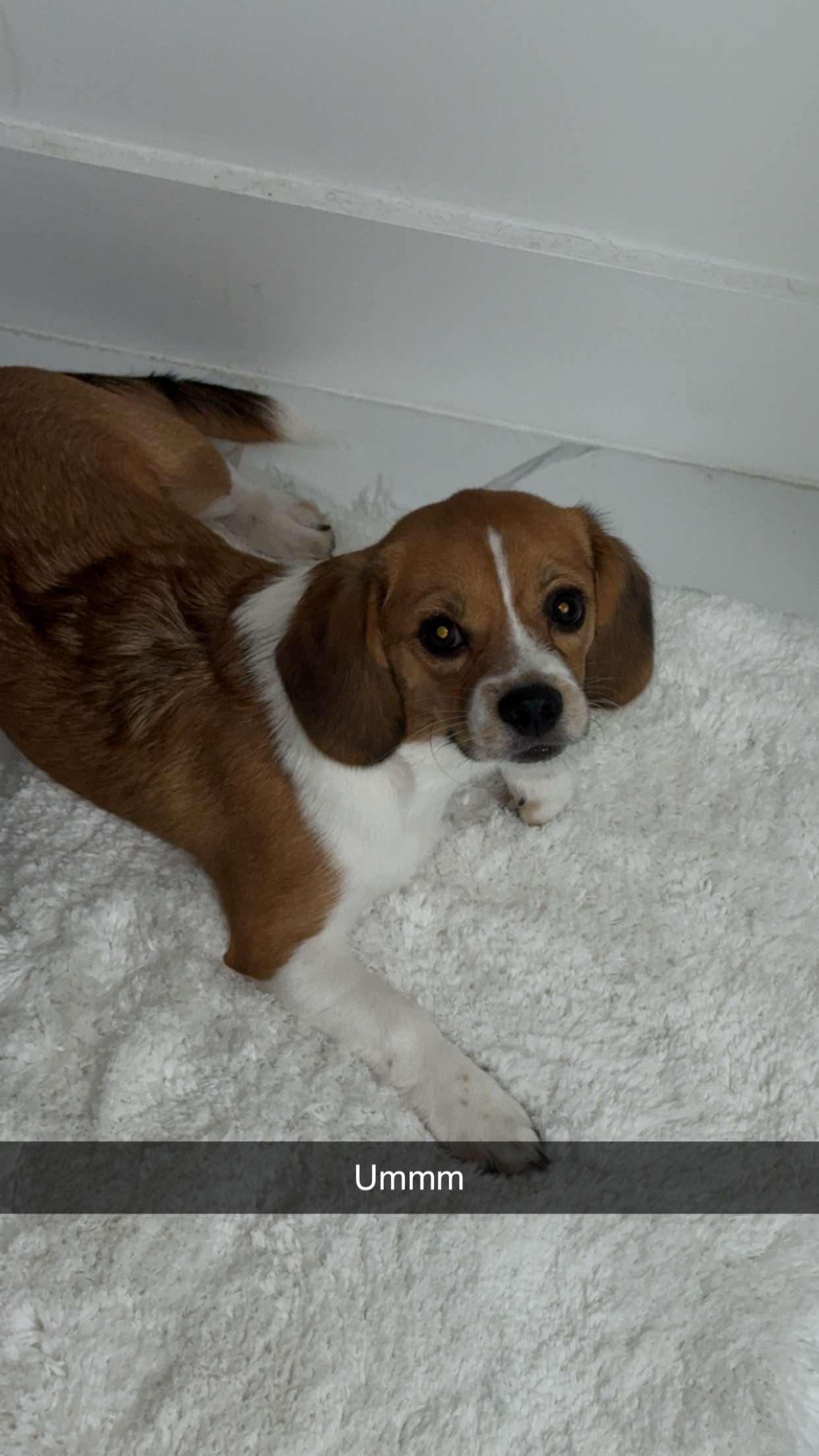 kydoddss snapchat image archive image