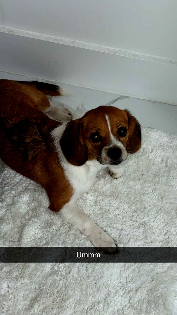 kydoddss image ~ Altpins