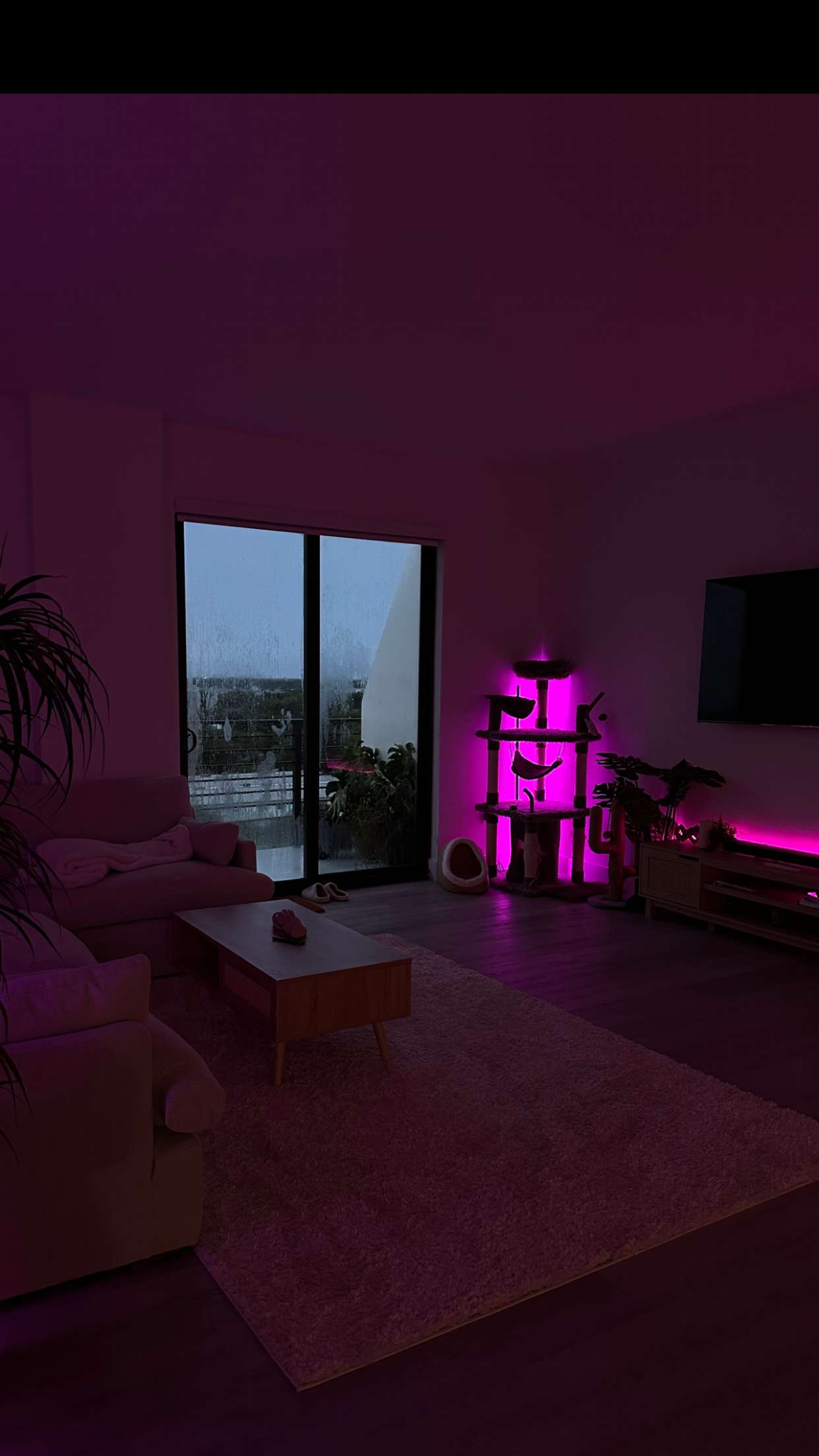 kydoddss snapchat image archive image