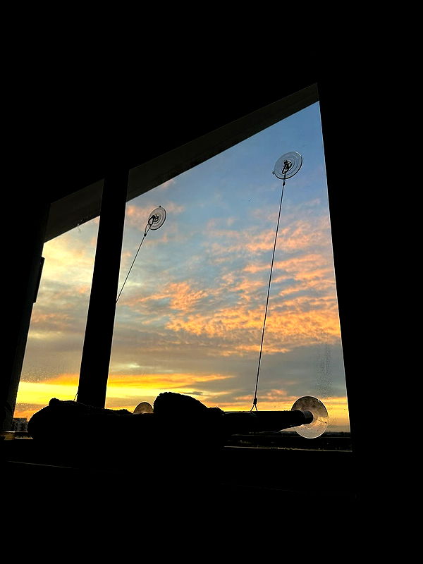 kydoddss image ~ Altpins