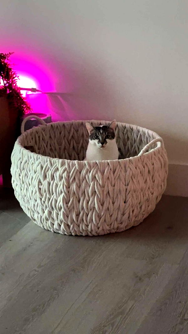 kydoddss image ~ Altpins