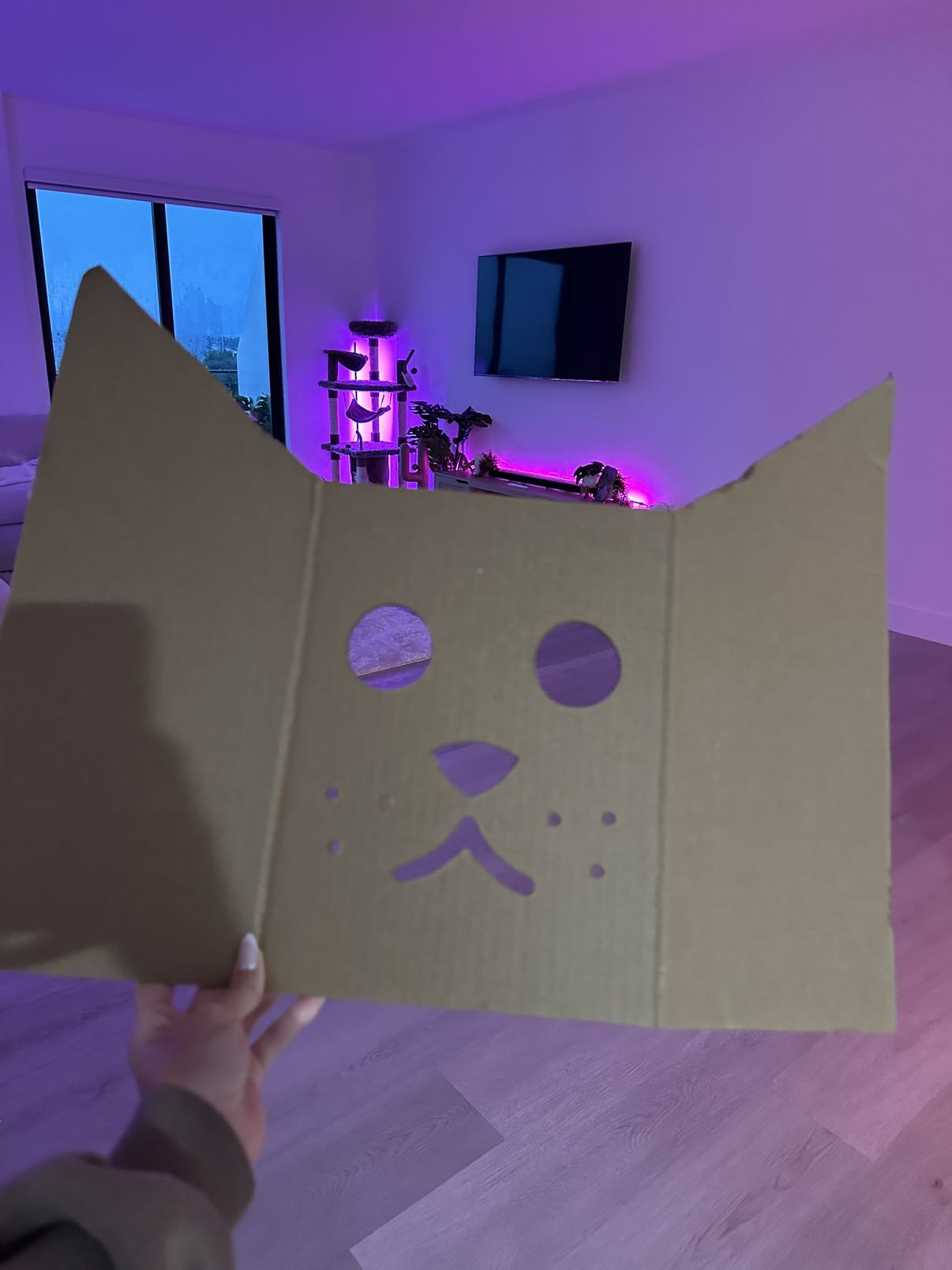 kydoddss snapchat image archive image