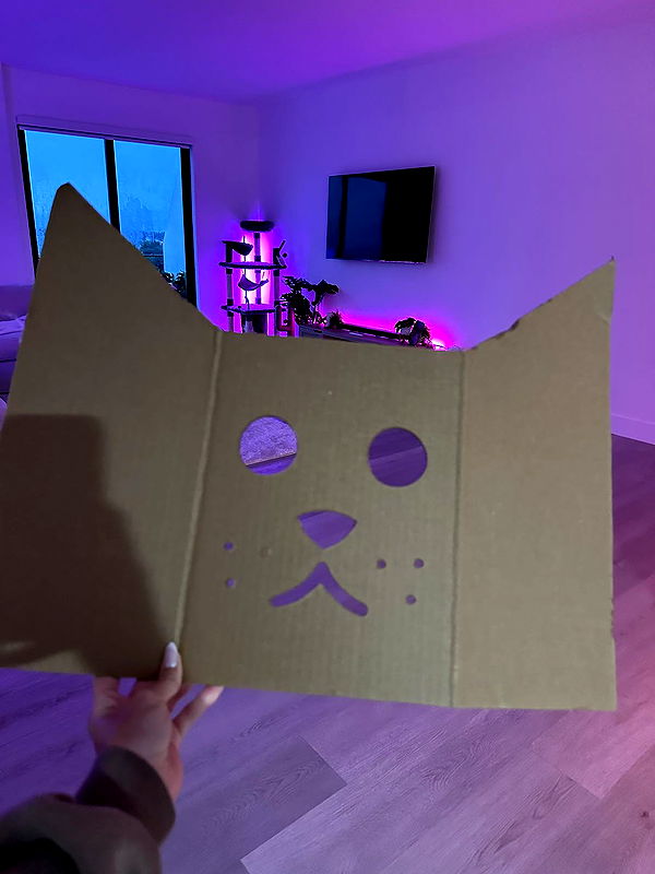 kydoddss image ~ Altpins