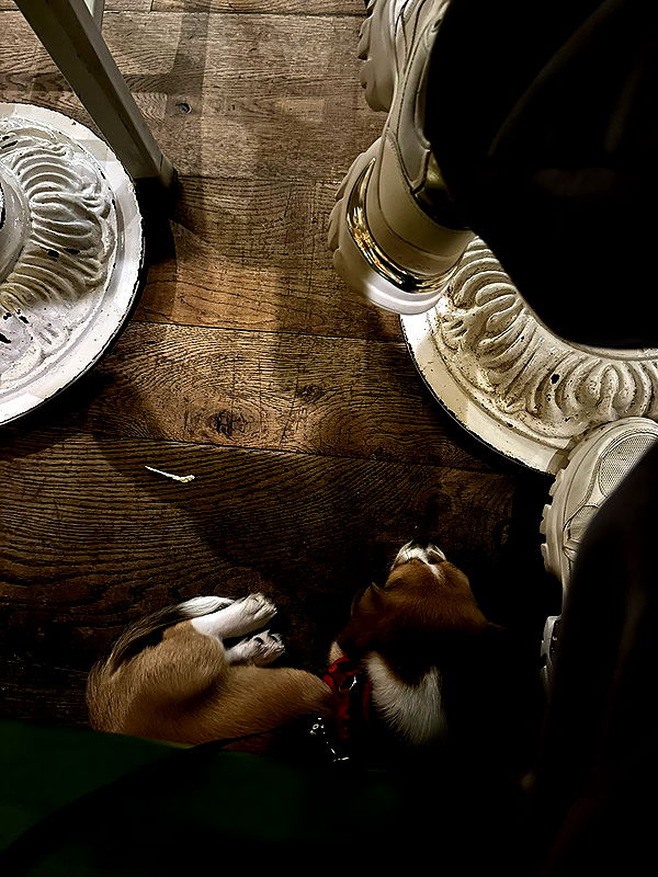 kydoddss image ~ Altpins