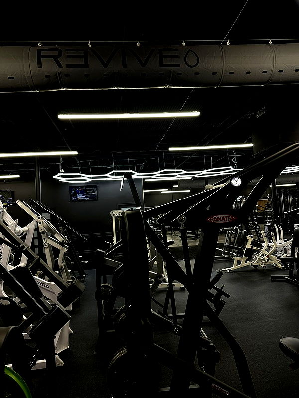 kydoddss image ~ Altpins