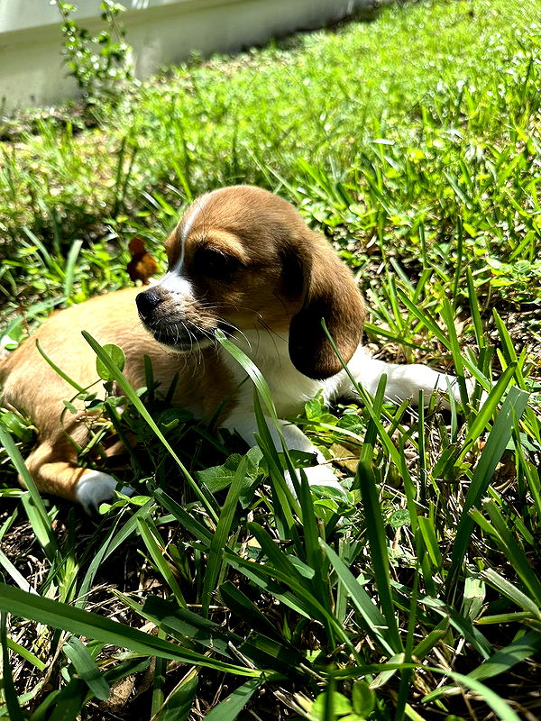 kydoddss image ~ Altpins