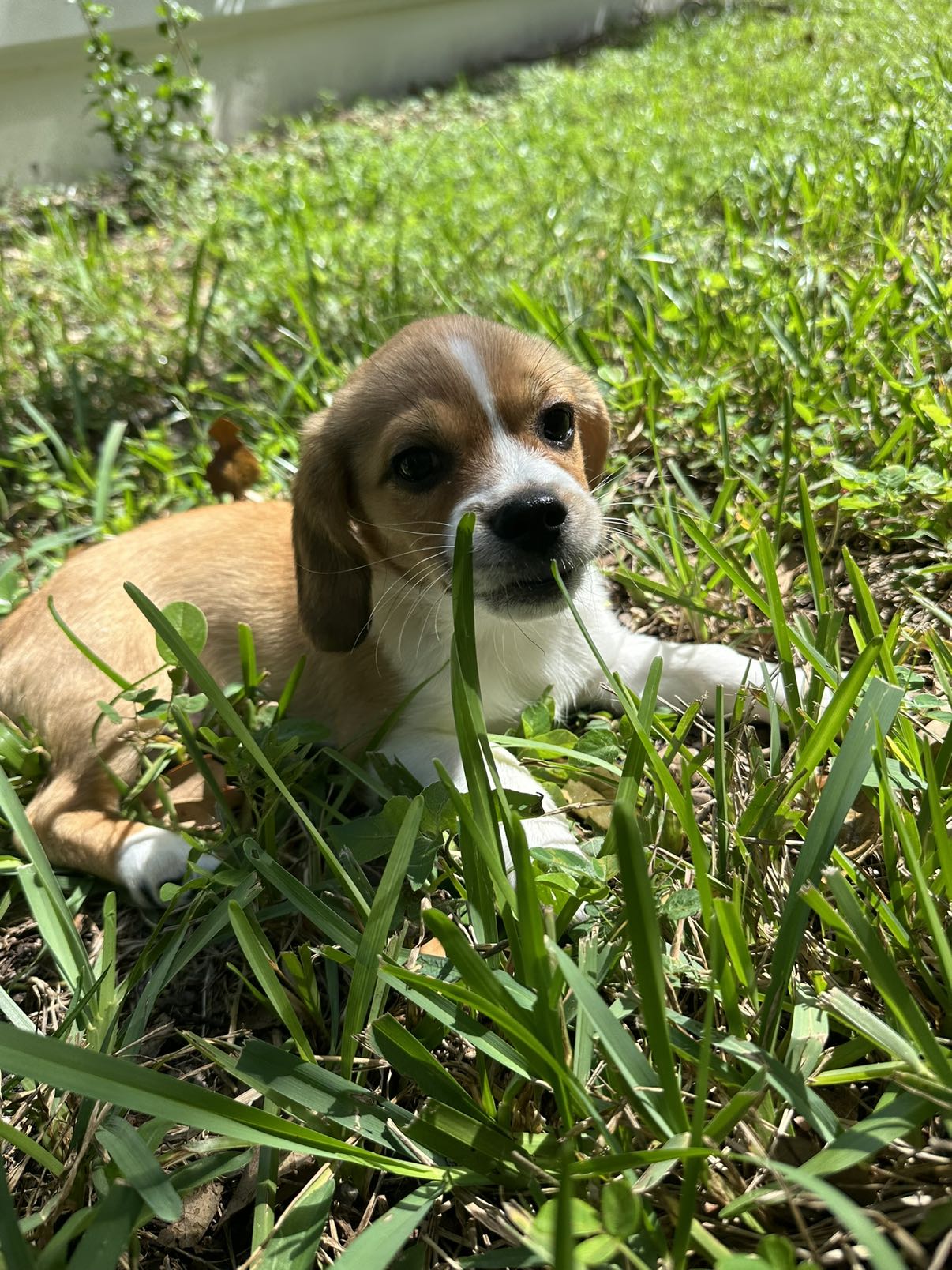 kydoddss snapchat image archive image